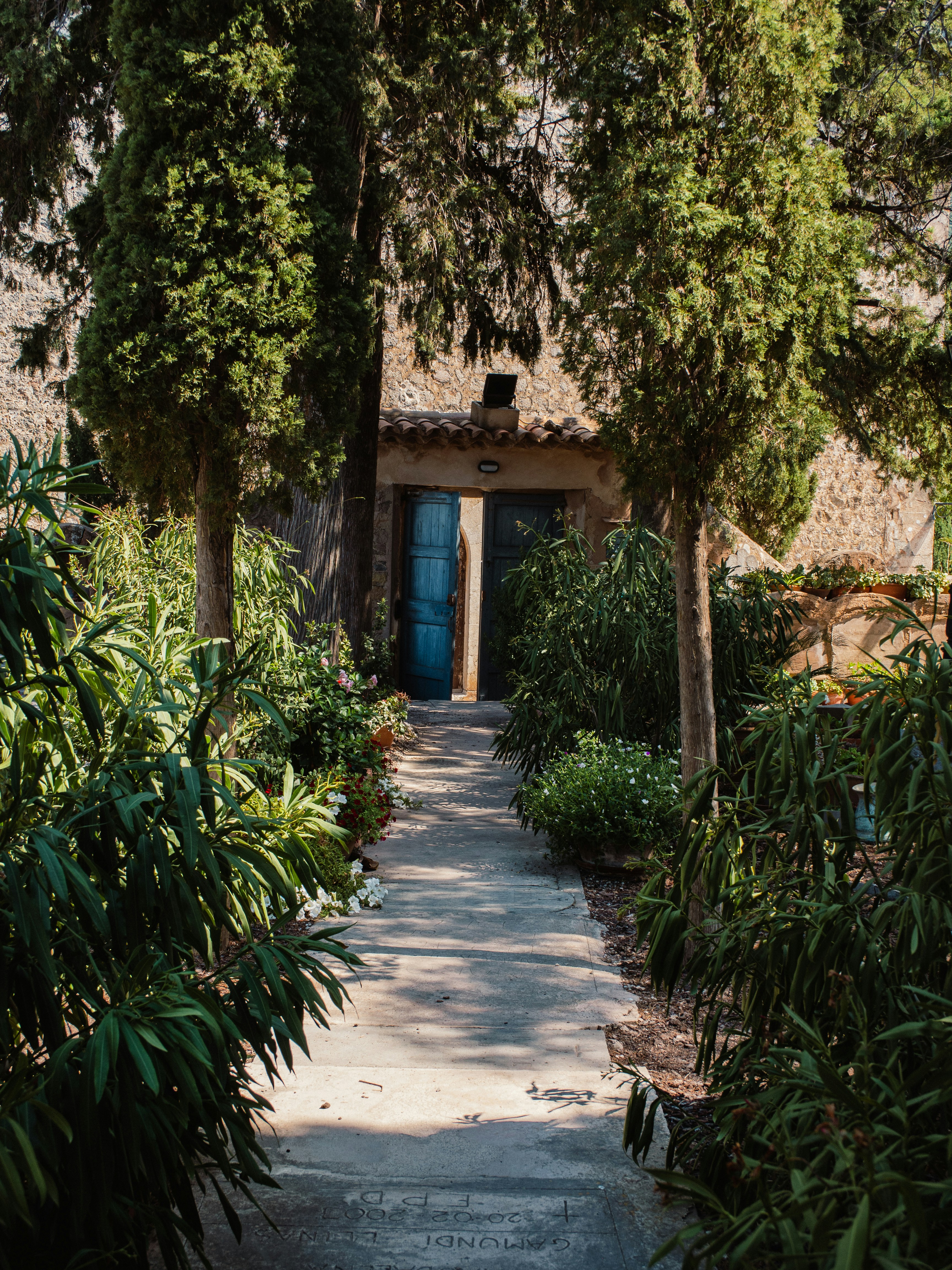 Photo by rasmusandersen93