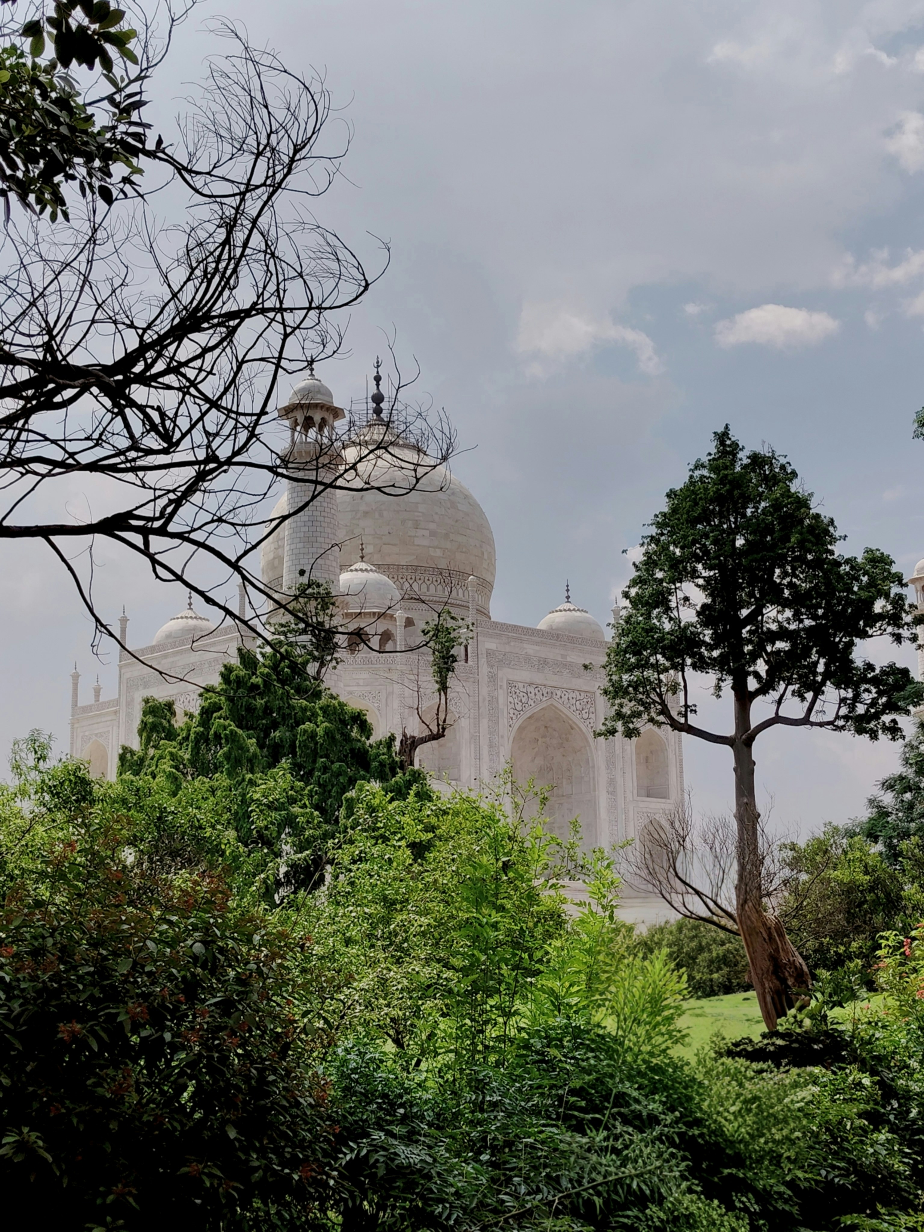 Photo by mohammad_dilshad23