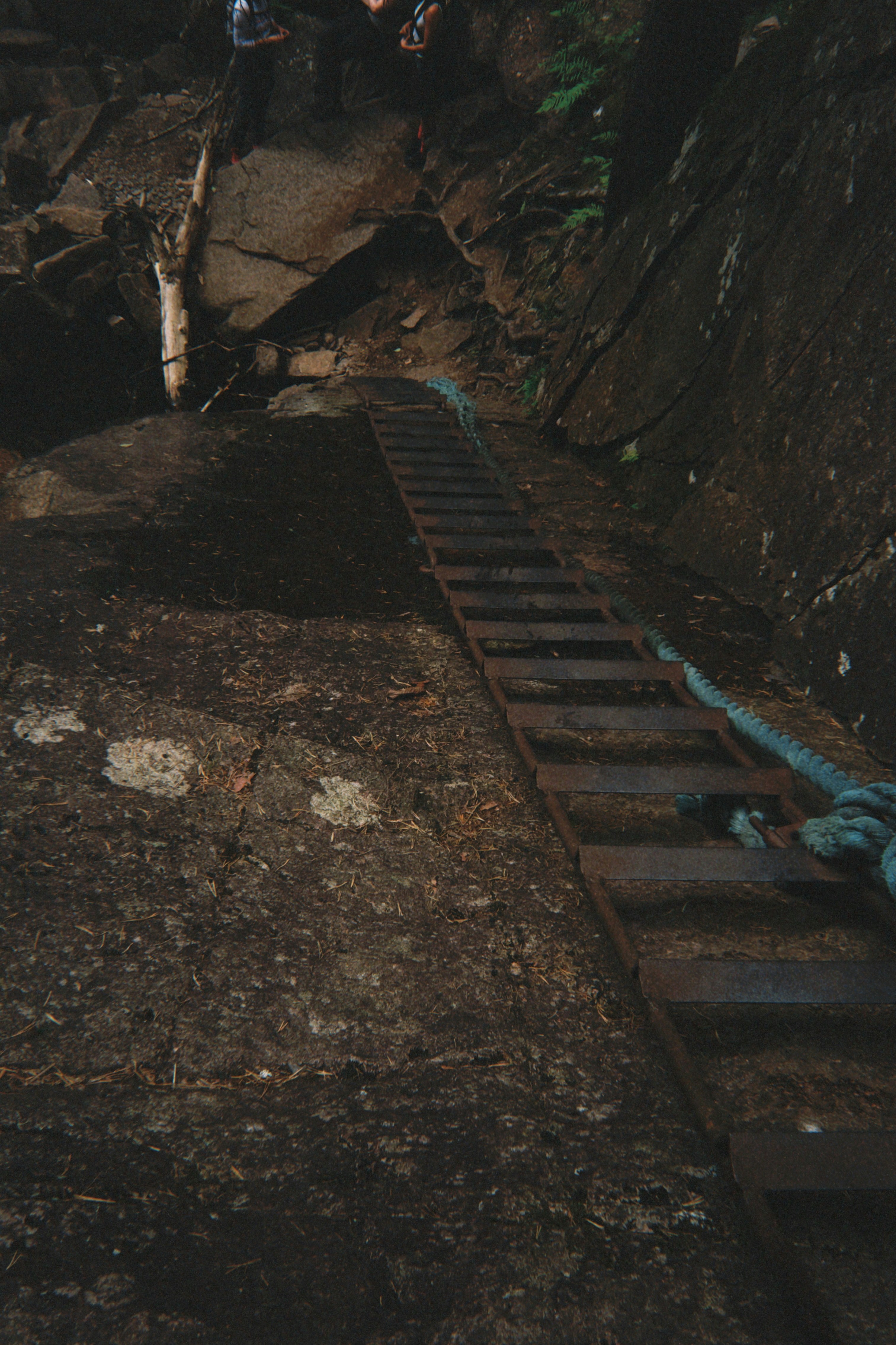 Photo by fredrik_strub