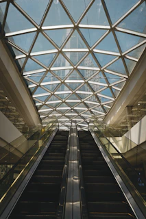 Modern escalators leading up to a geometric glass ceiling.