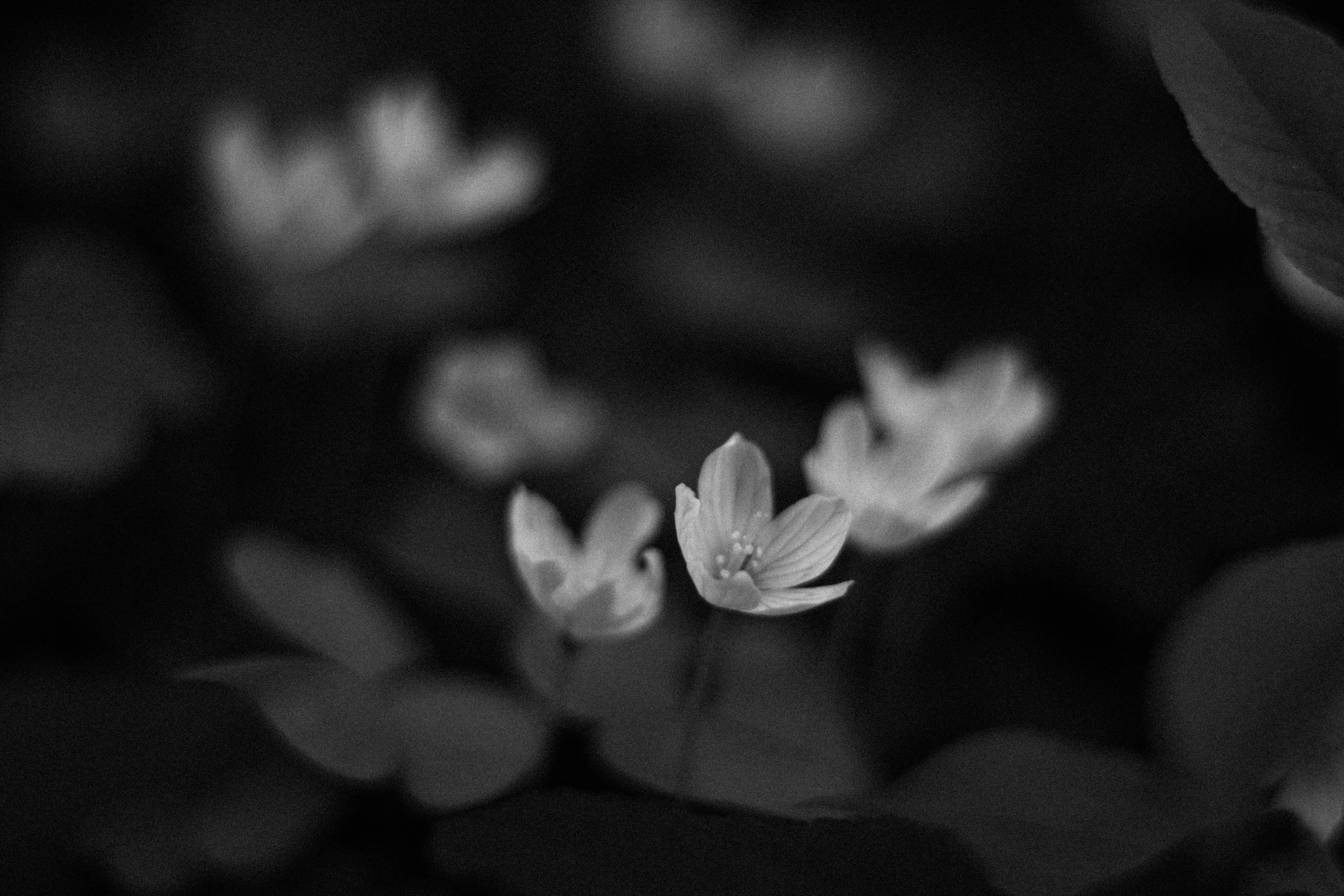 Photo by reinisbruzitis