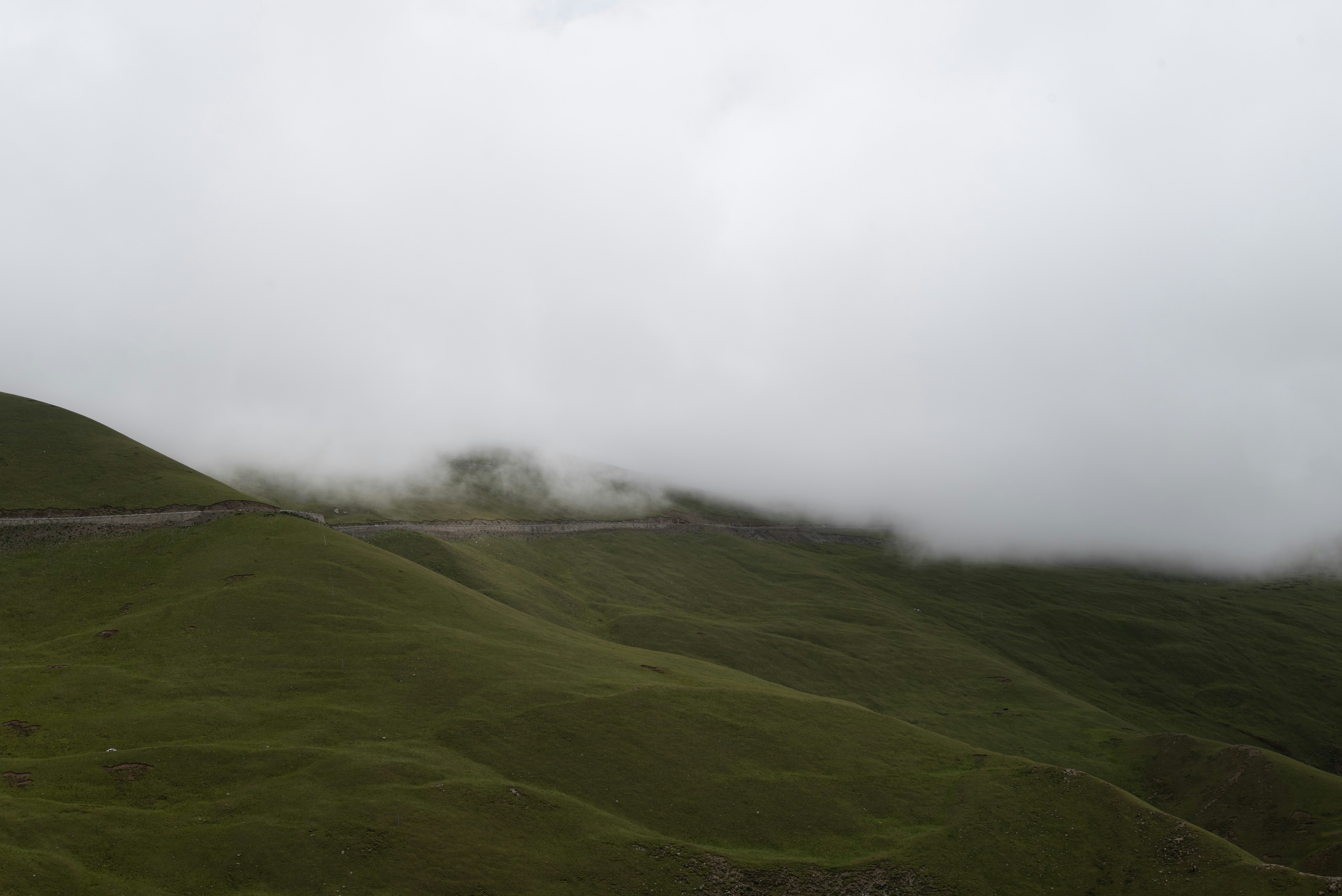 Photo by nikol_royce