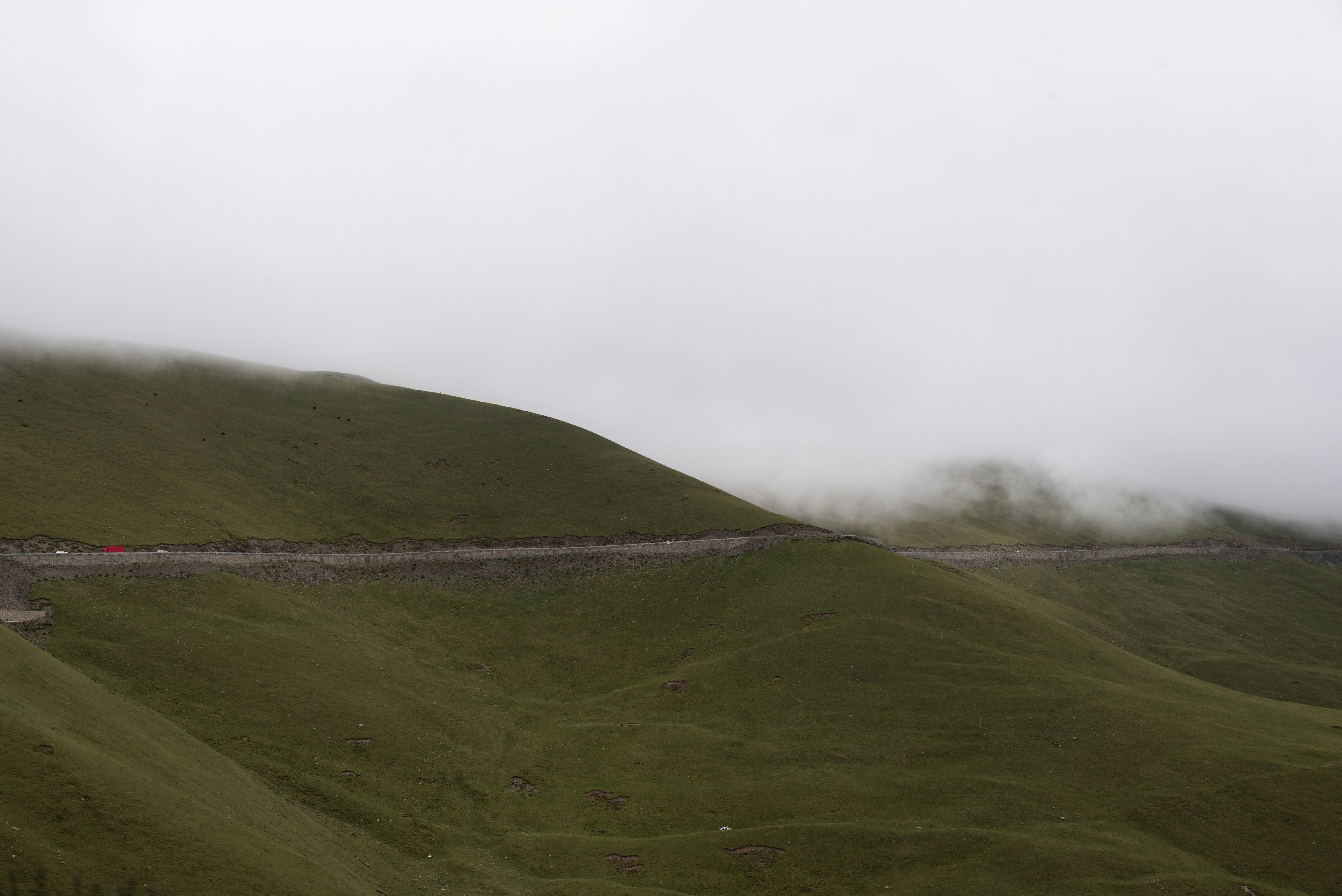 Photo by nikol_royce