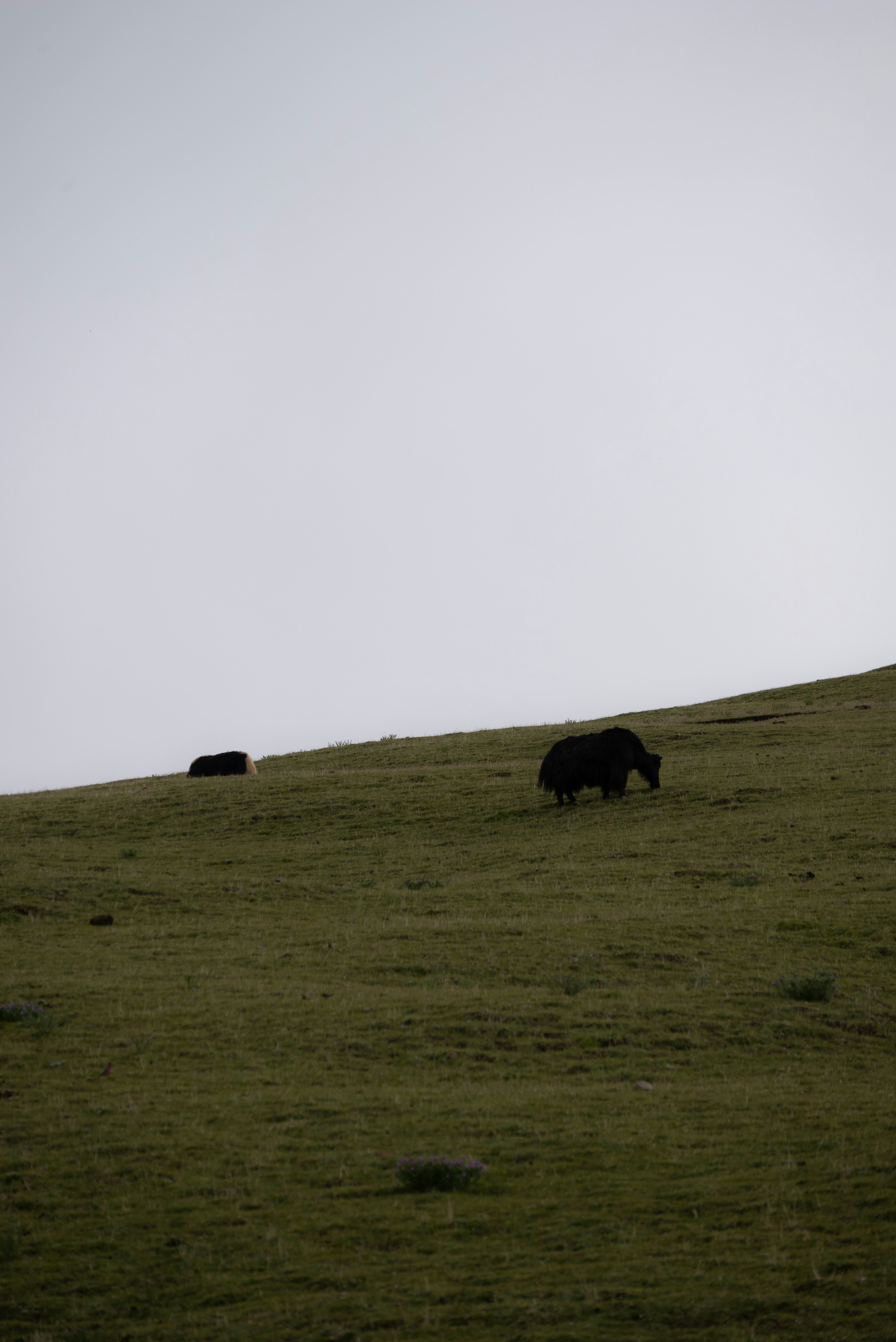 Photo by nikol_royce