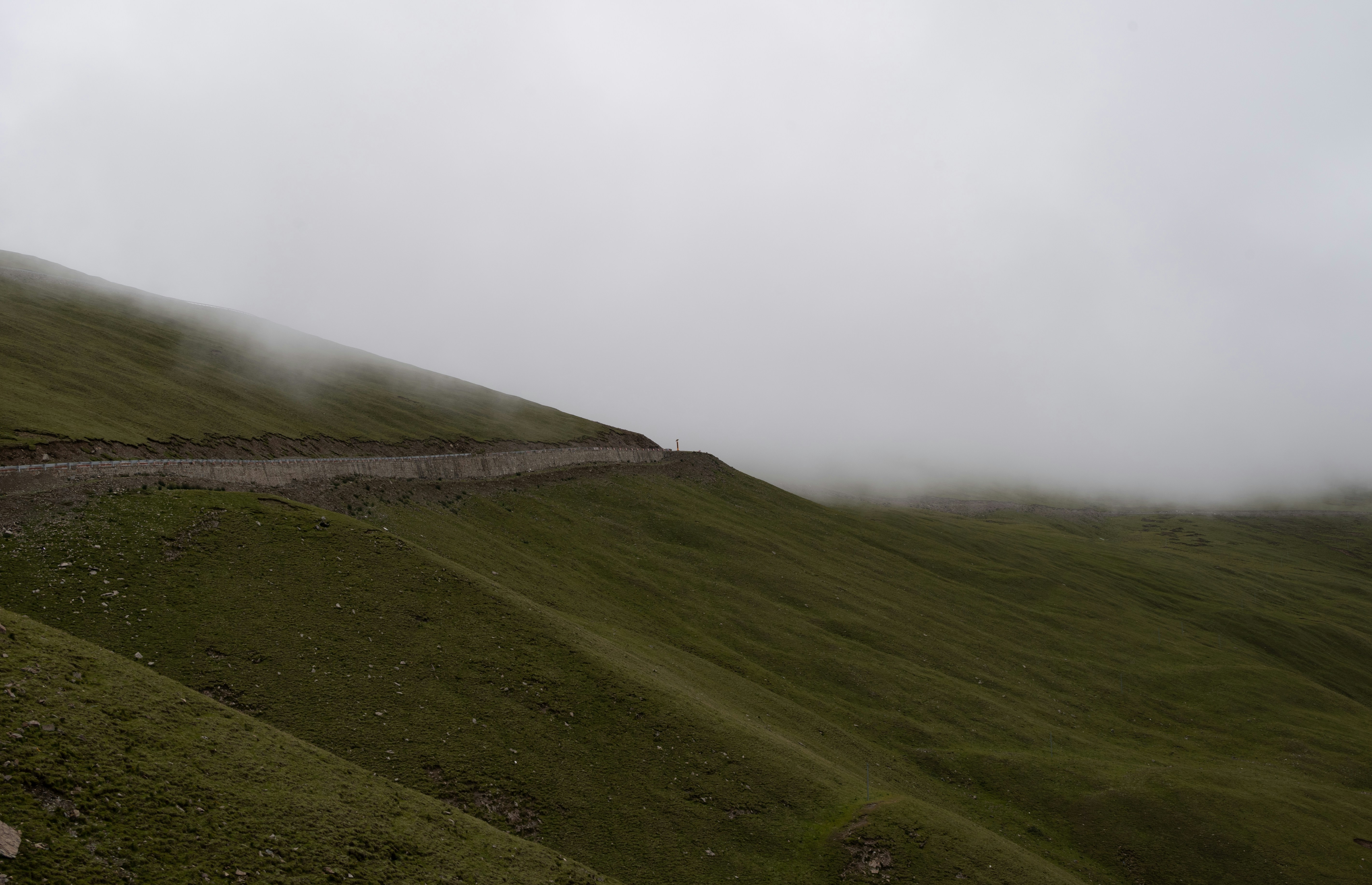 Photo by nikol_royce