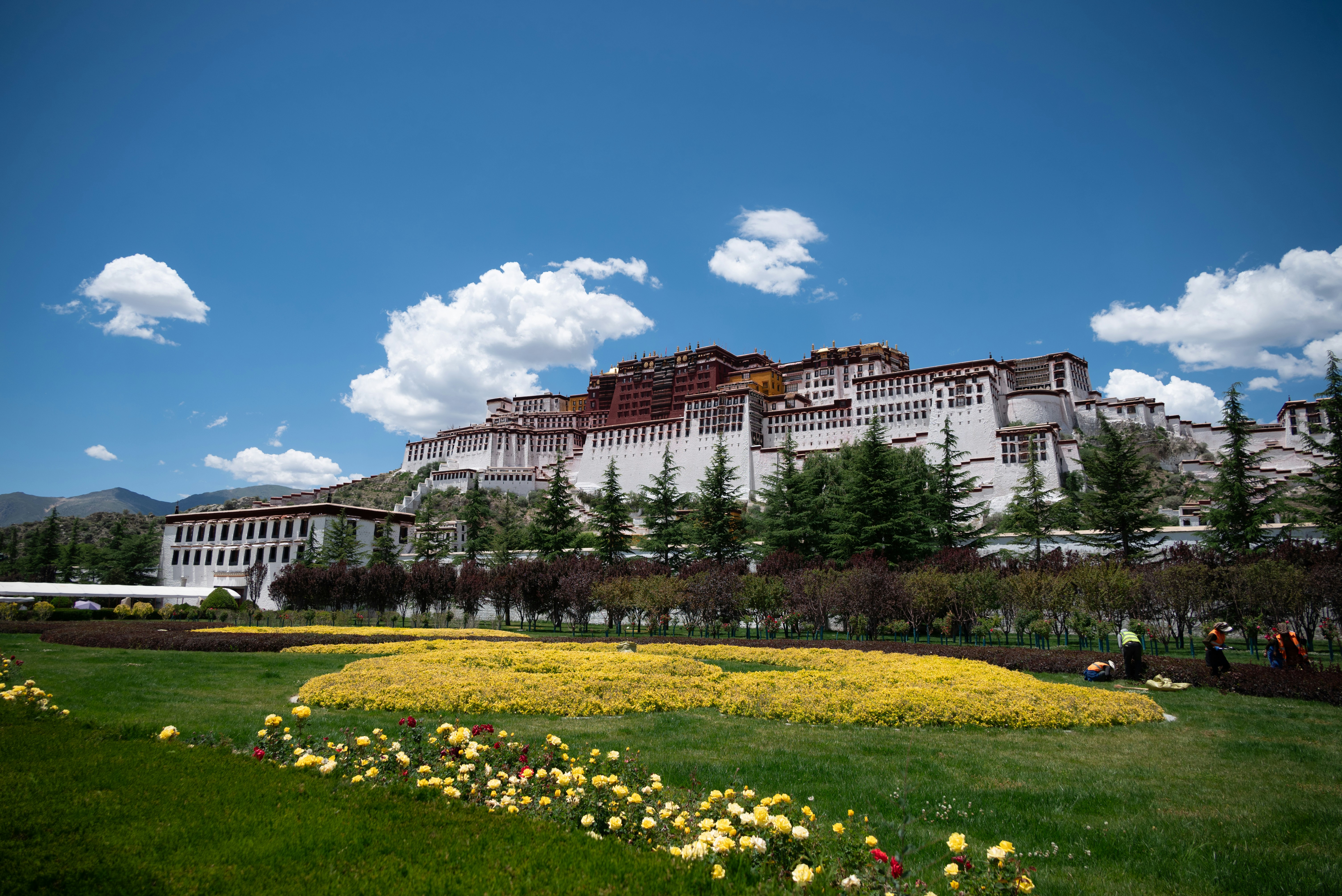 Palazzo del Potala a Lhasa con fiori in fiore