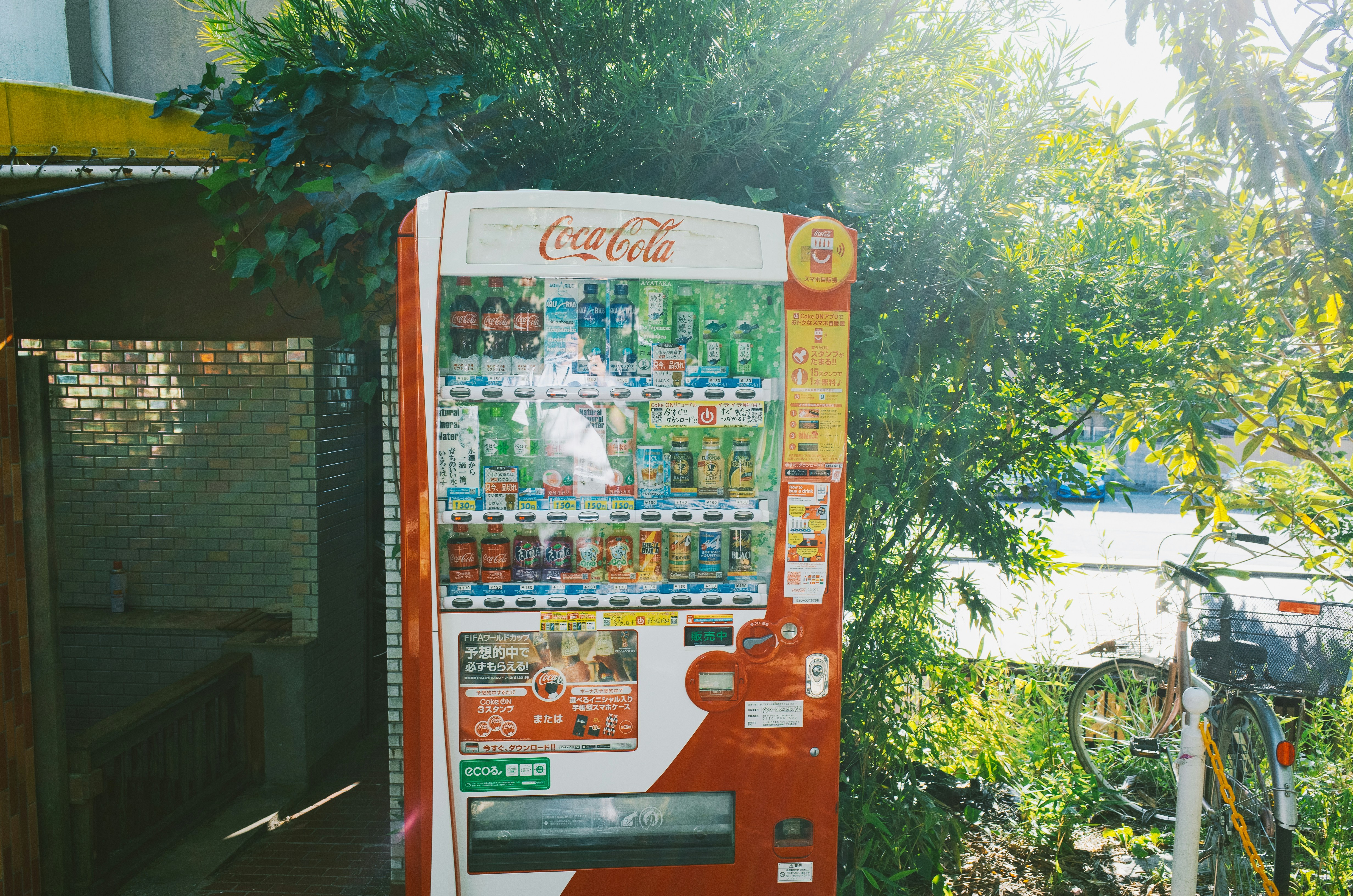 Coca-cola vending machine with drinks and sunlight.