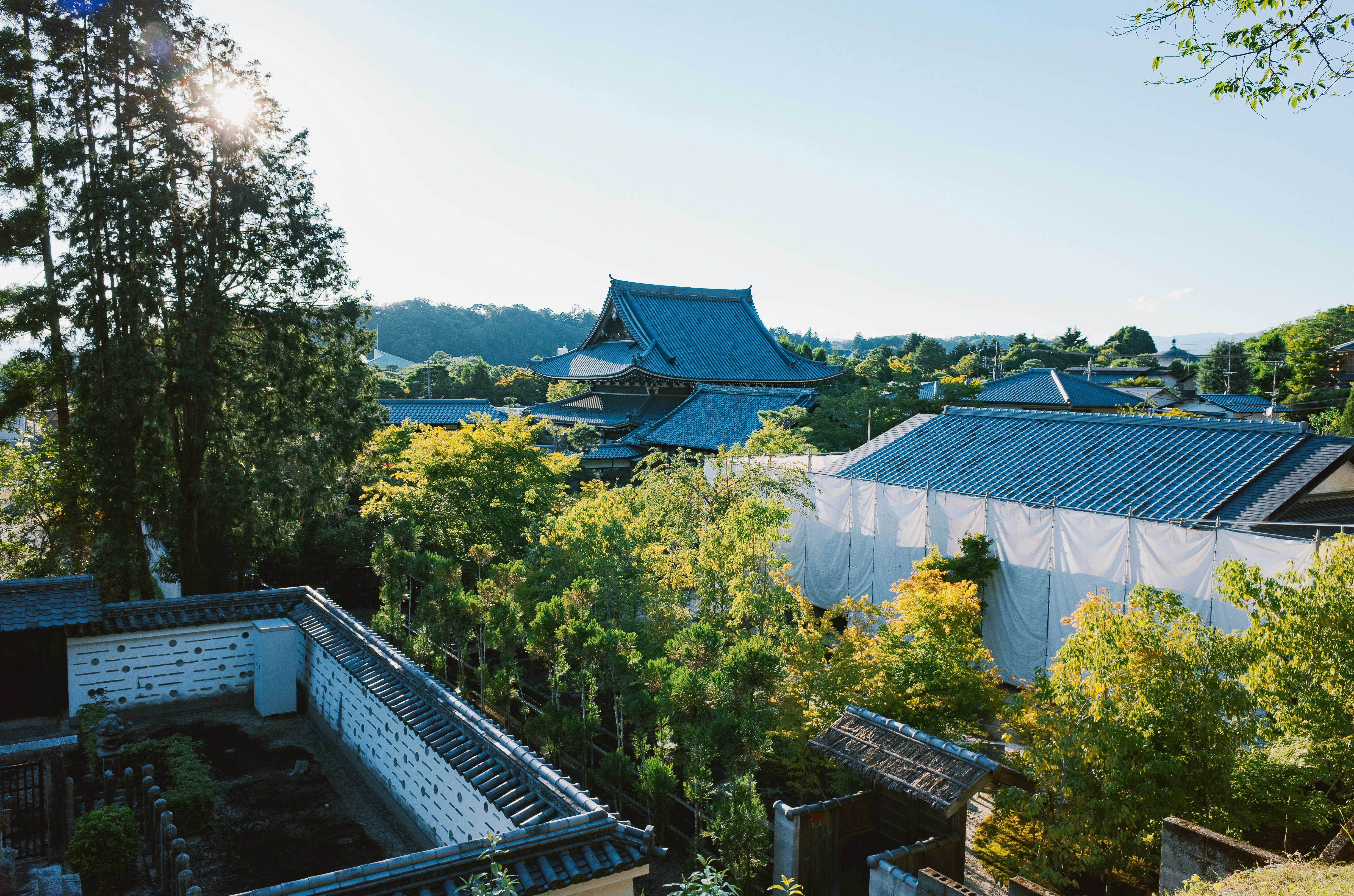 Traditional japanese buildings surrounded by lush green trees.