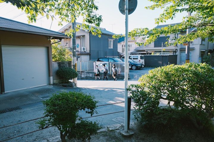 Houston Sugar Land 社区独栋住宅与绿化