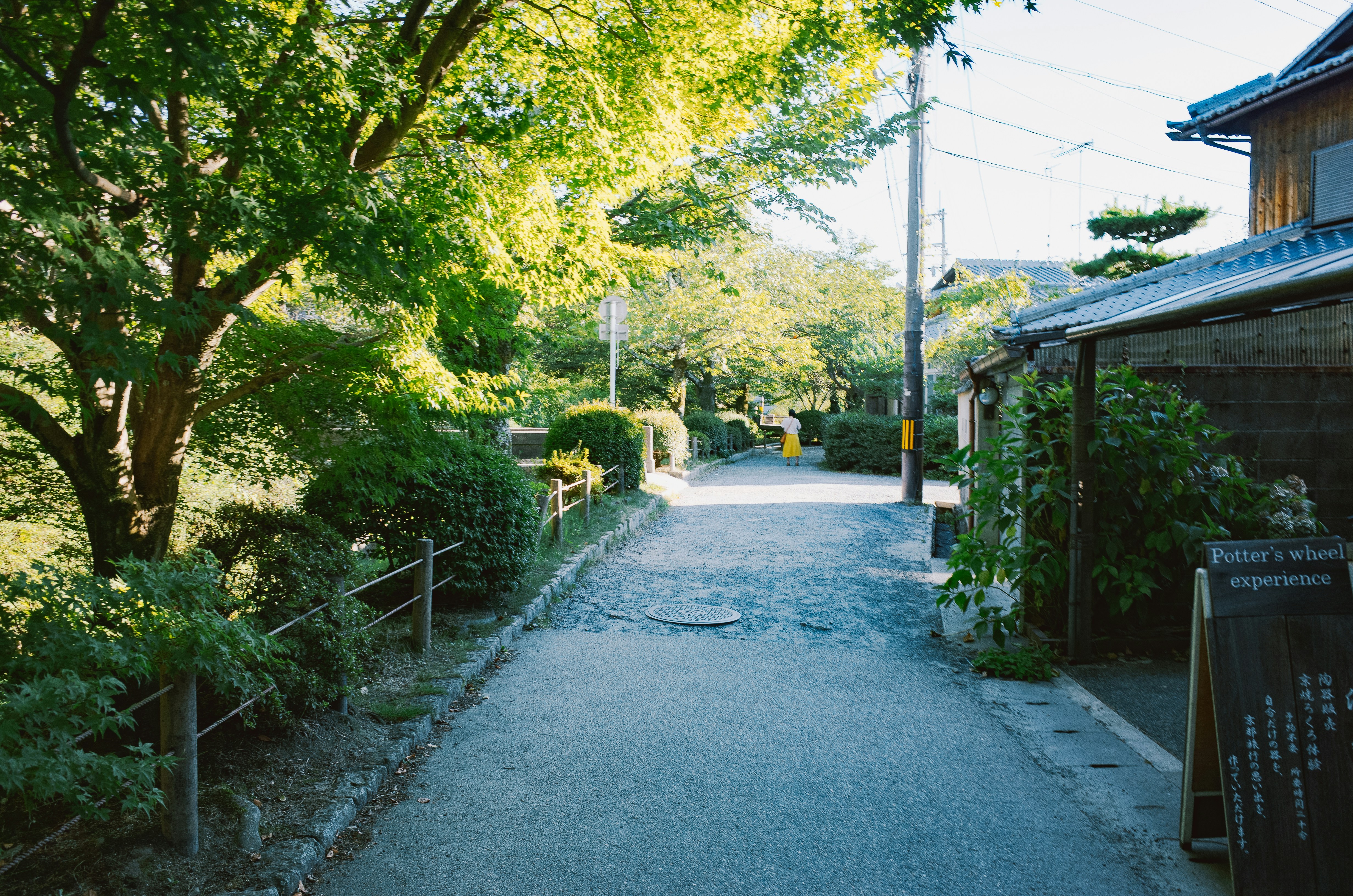 Tree-lined path leading to buildings on a sunny day
