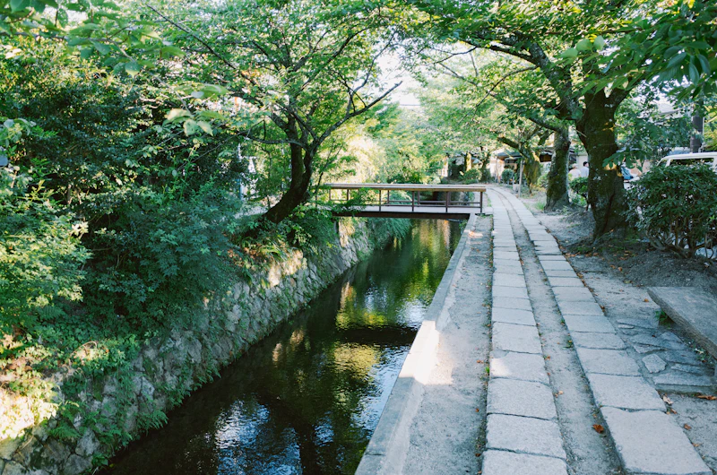 The Philosopher's Path canal walk in Kyoto in green season, stone-lined water channel reflecting trees with no visitors present