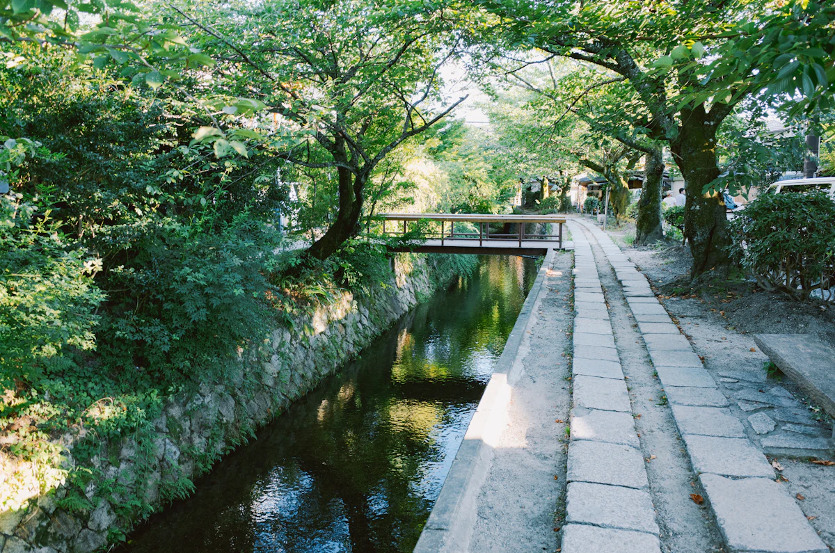 The Philosopher's Path canal walk in Kyoto in green season, stone-lined water channel reflecting trees with no visitors present