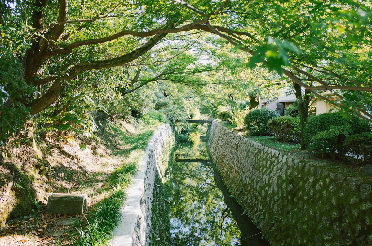 The Philosopher's Path canal walk in Kyoto lined with cherry trees and traditional stone lanterns