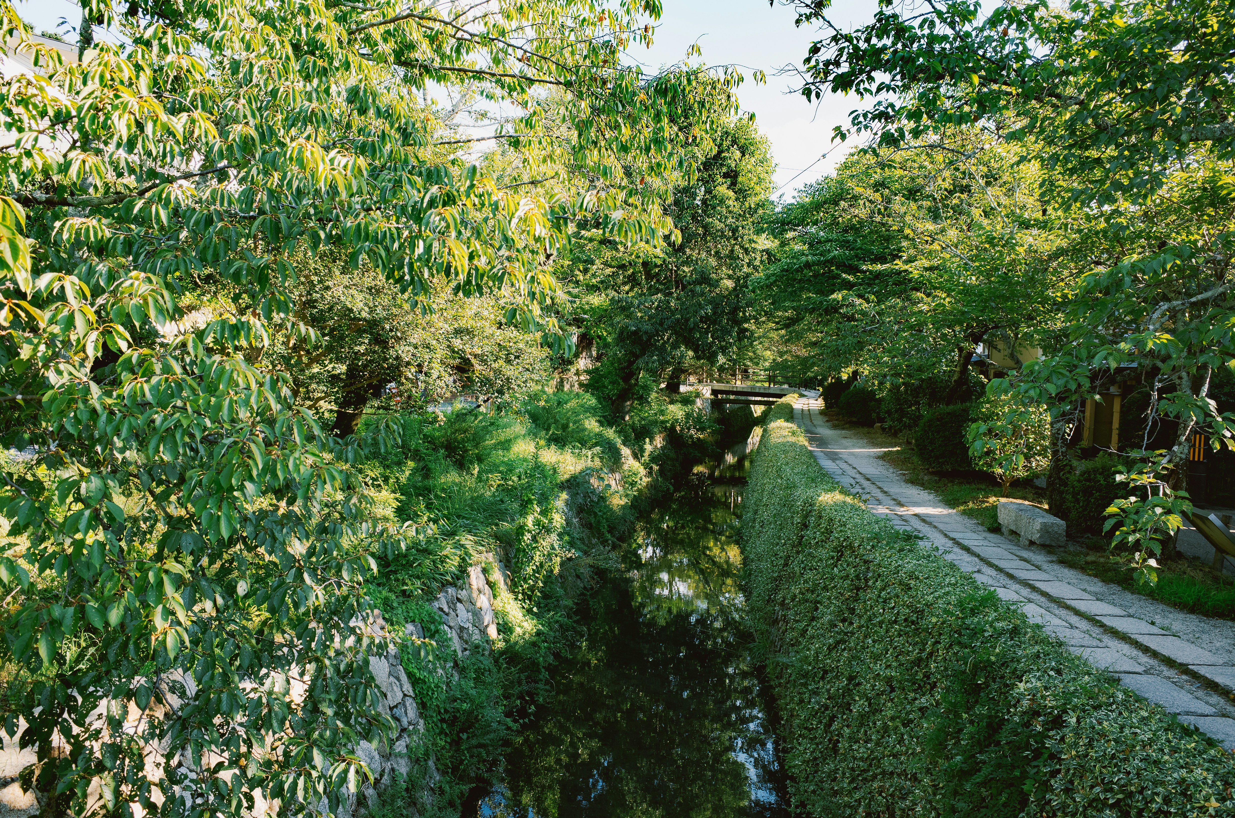 Akanomiya