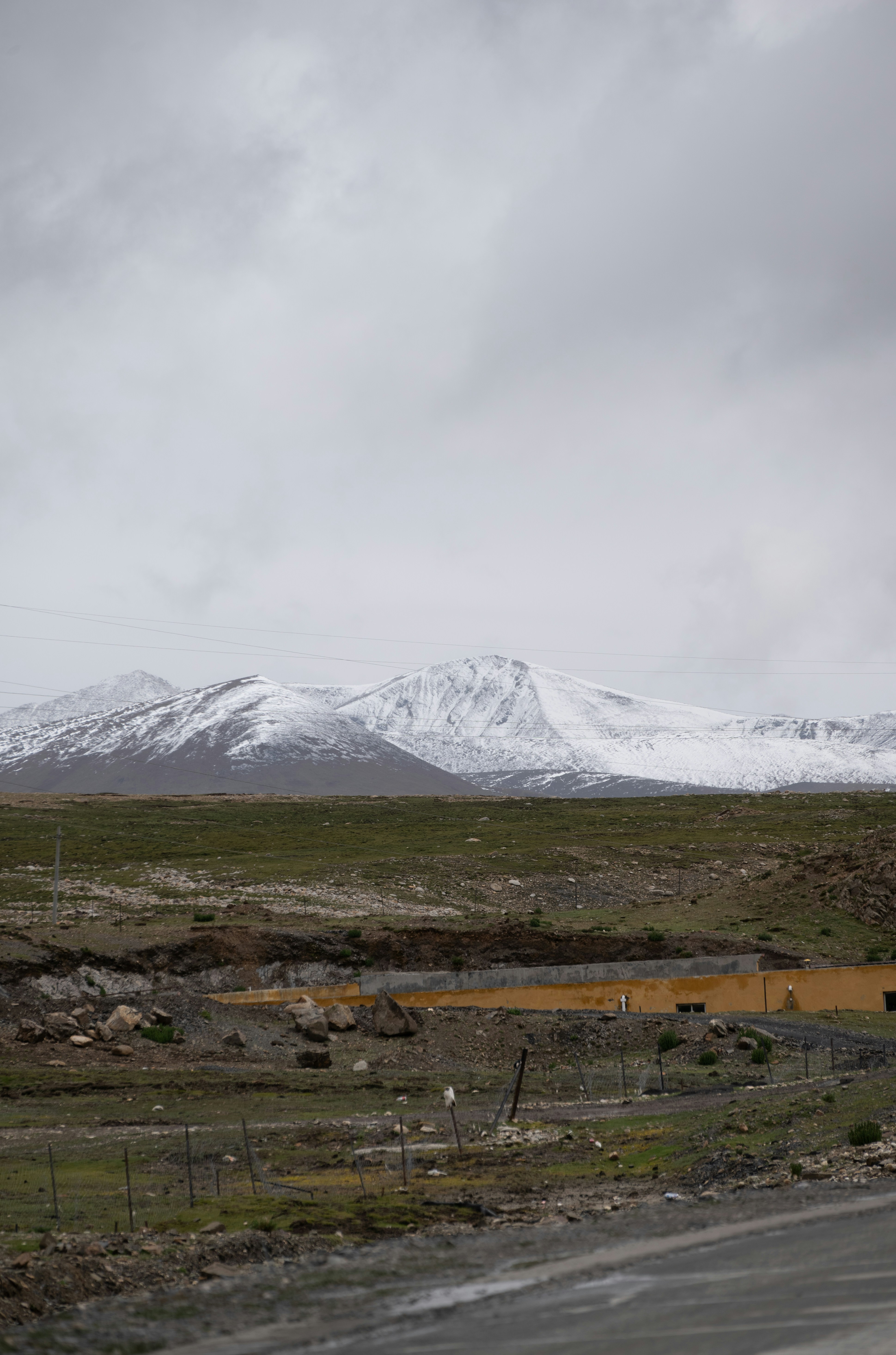 Photo by nikol_royce