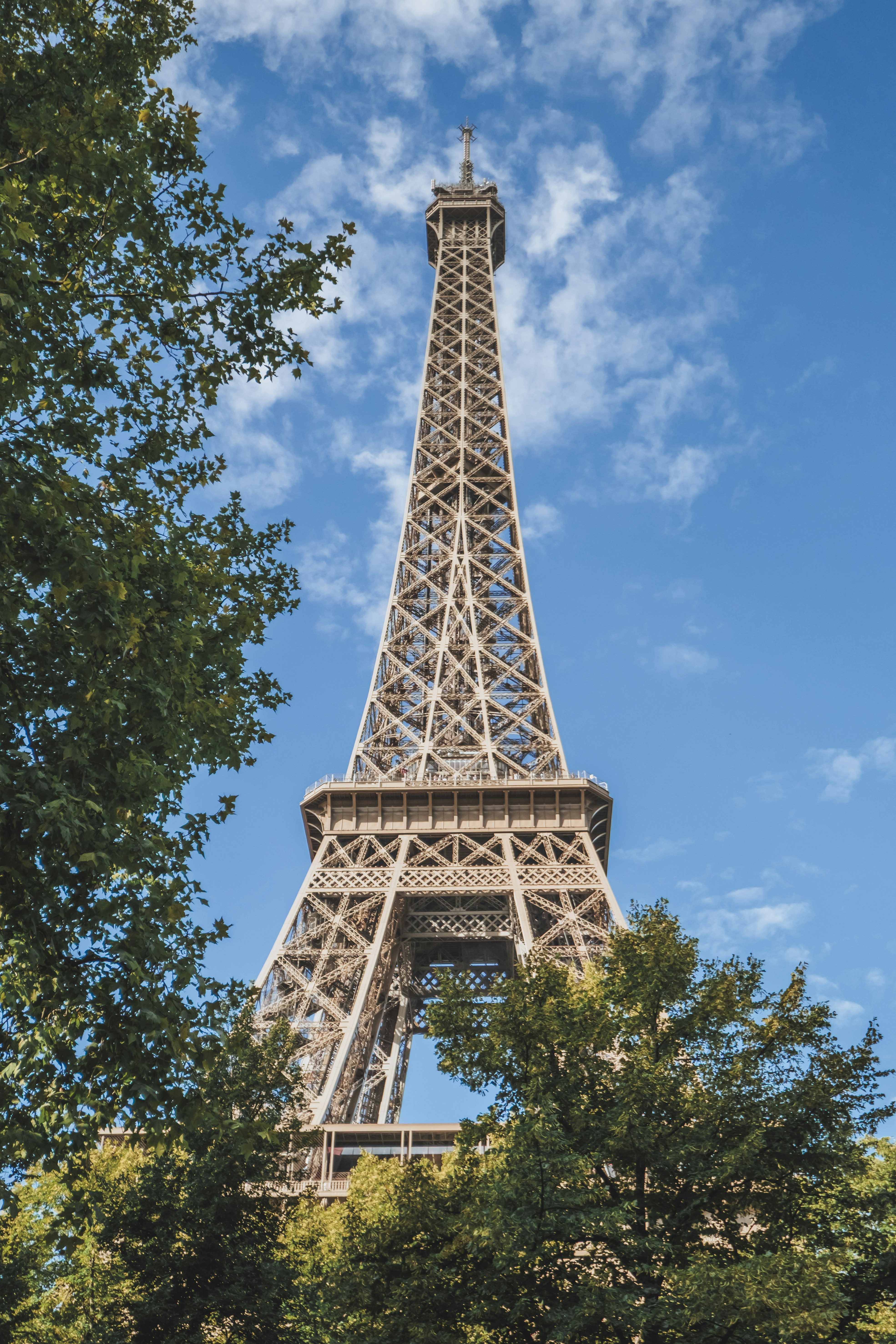 Eiffel tower framed by green trees under blue sky