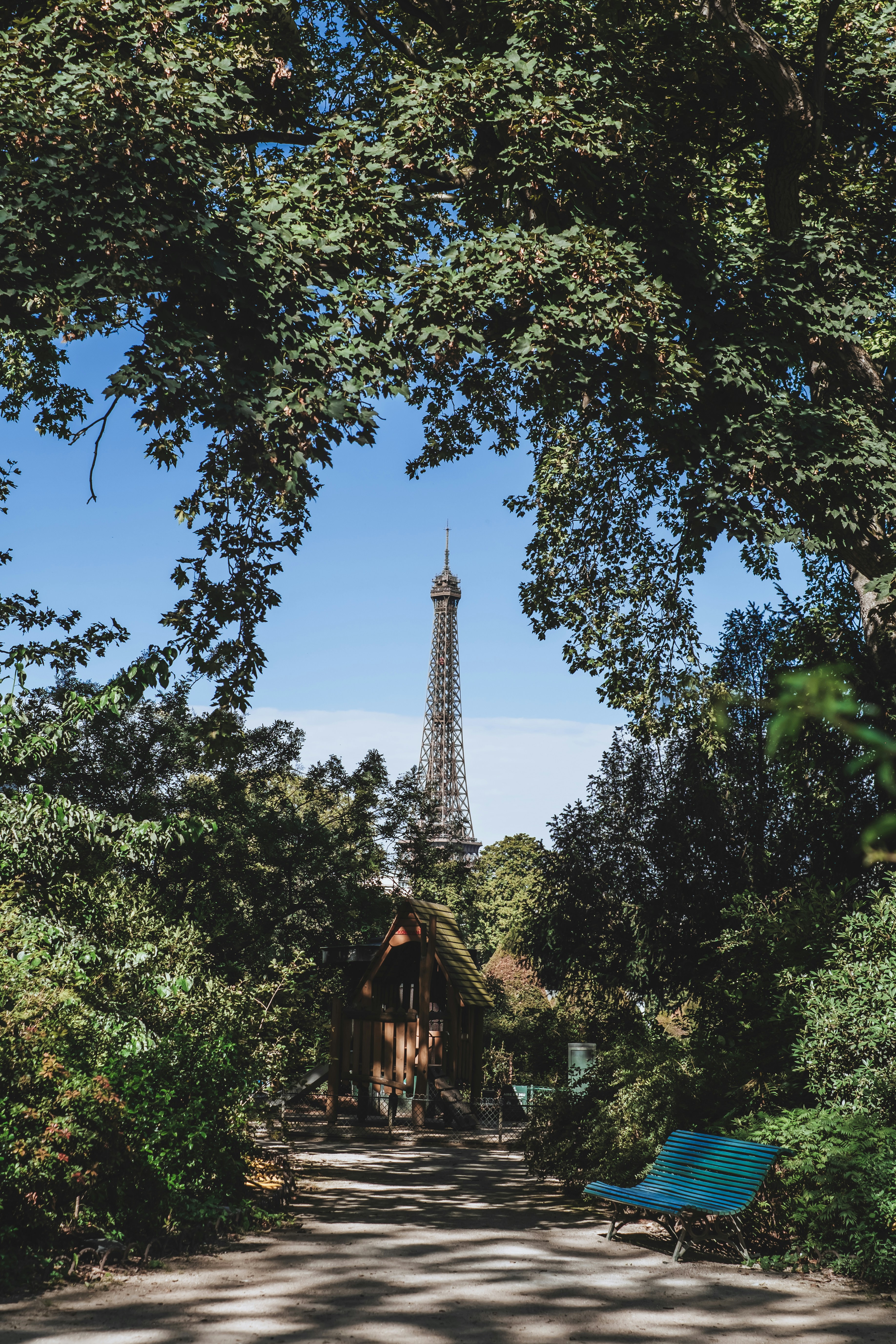 Eiffel tower seen through lush green trees