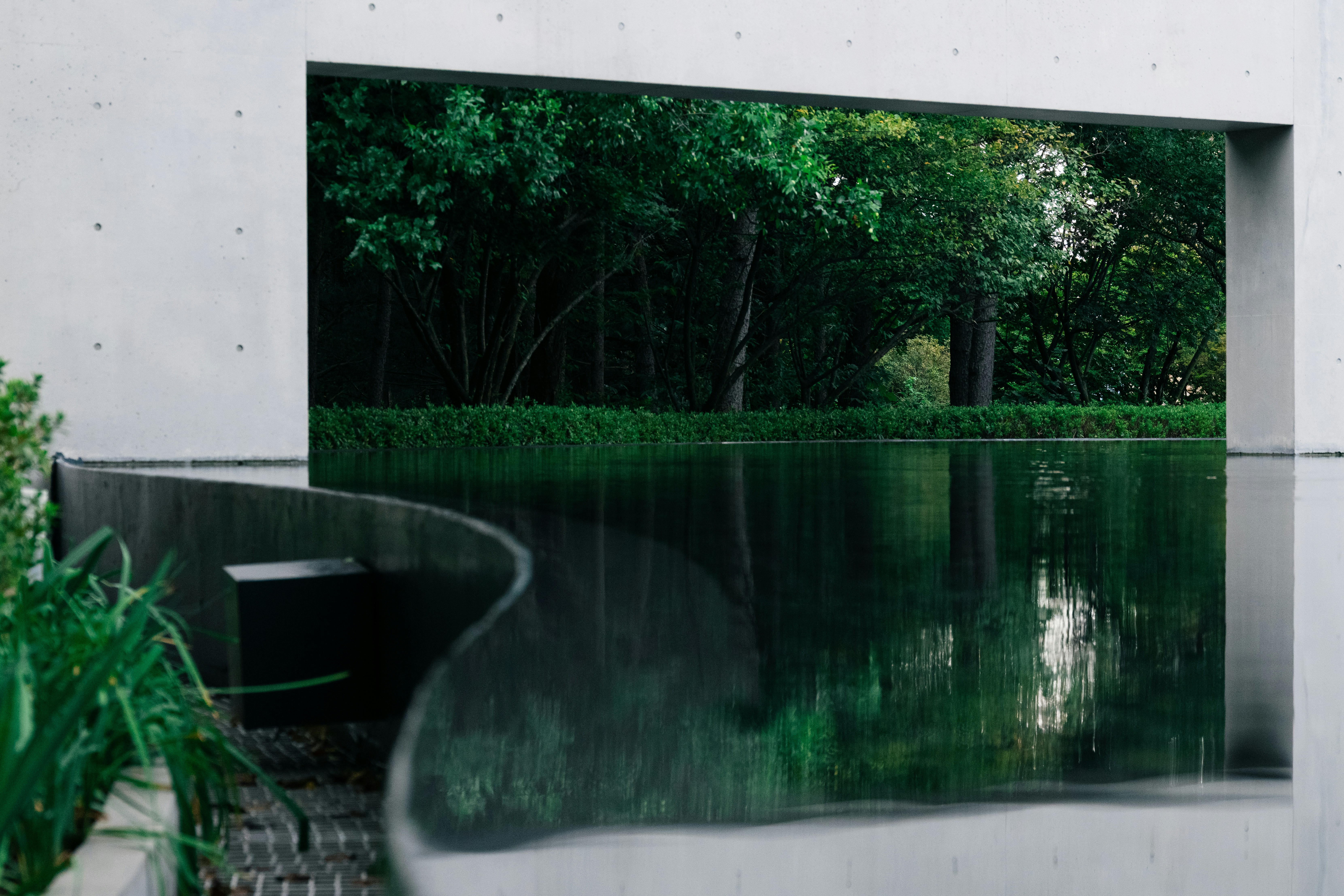 Modern architecture with serene water feature and lush greenery