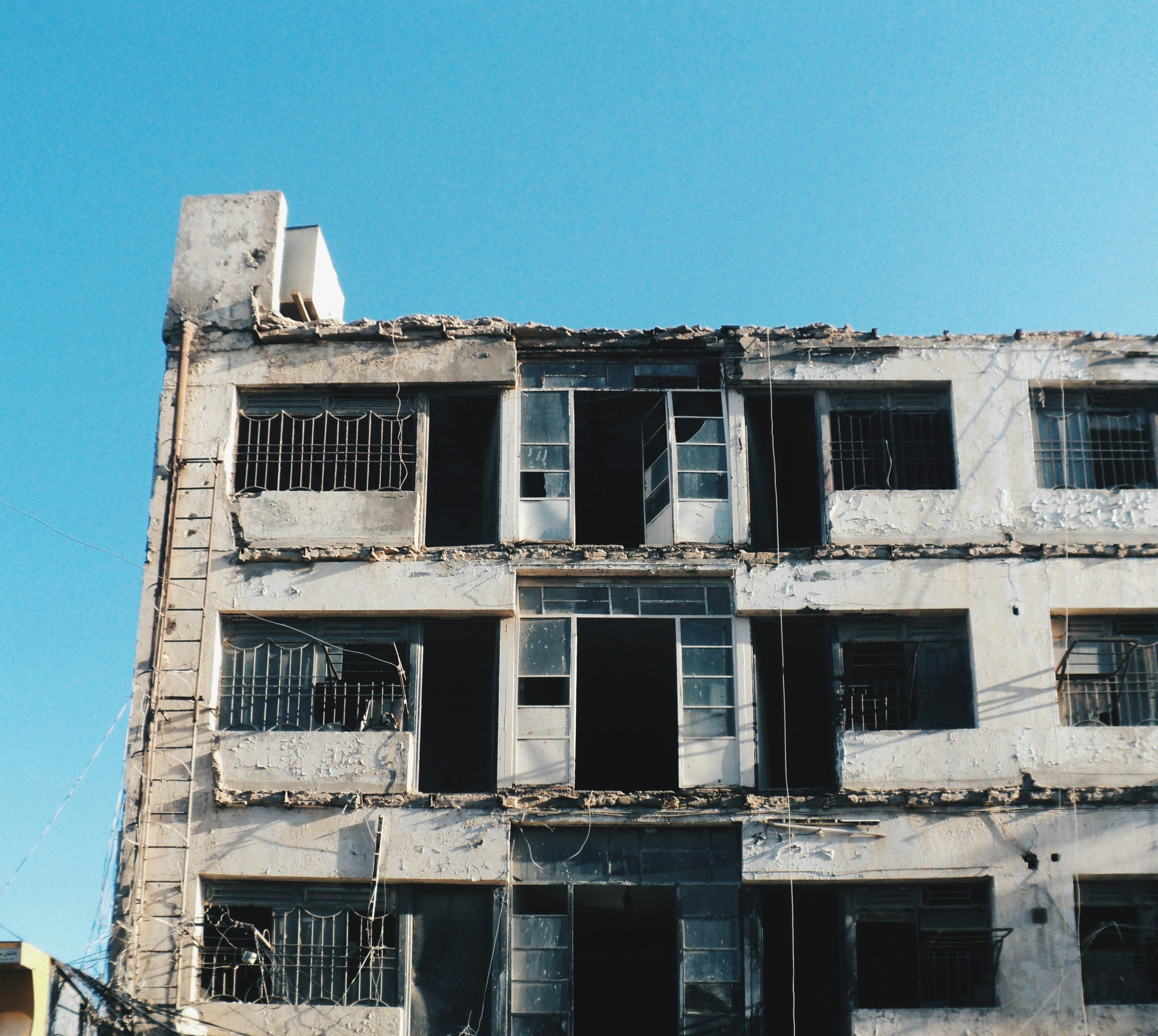 Photo by mdrezajalali