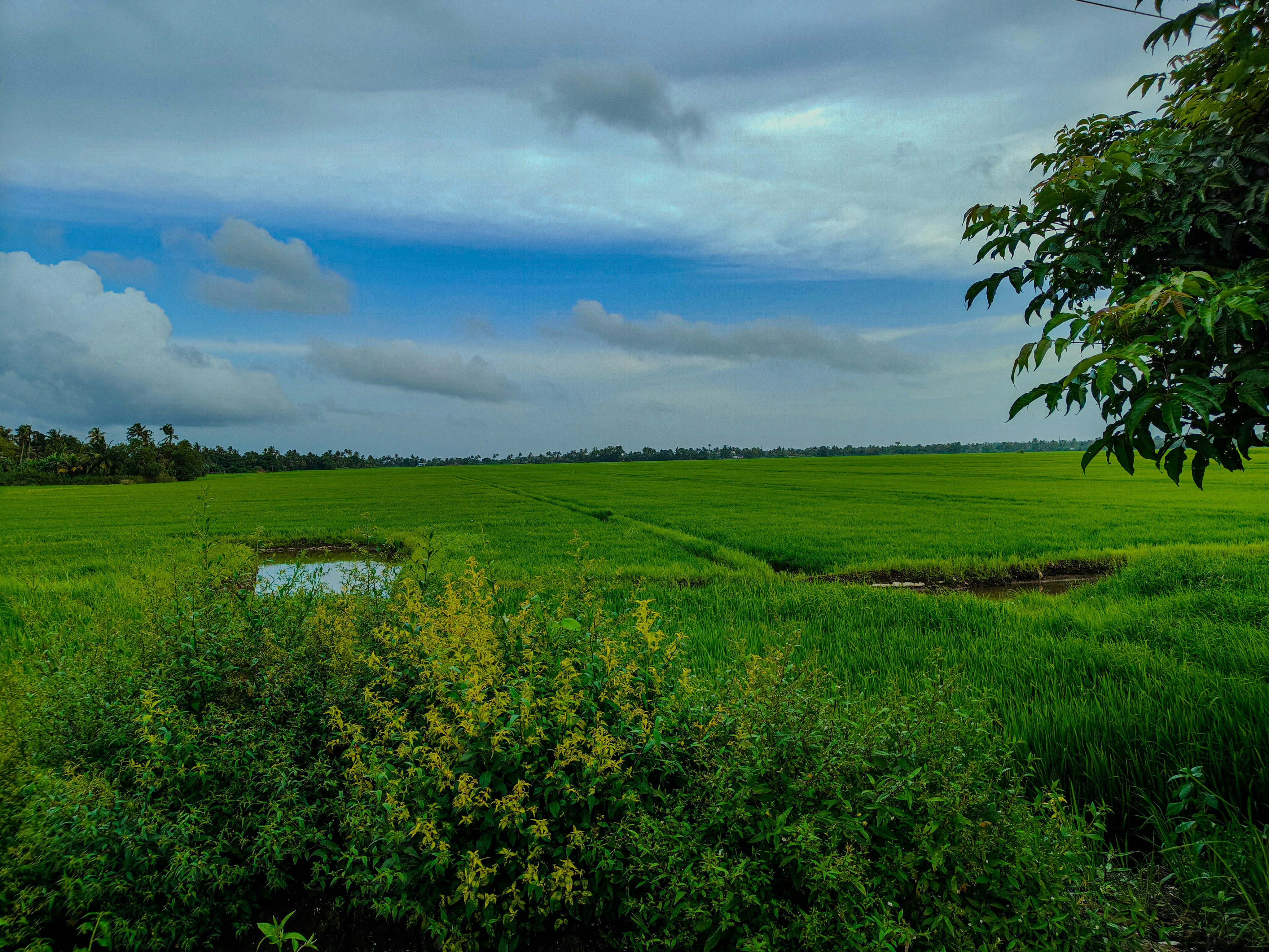 Photo by anandramavath_786