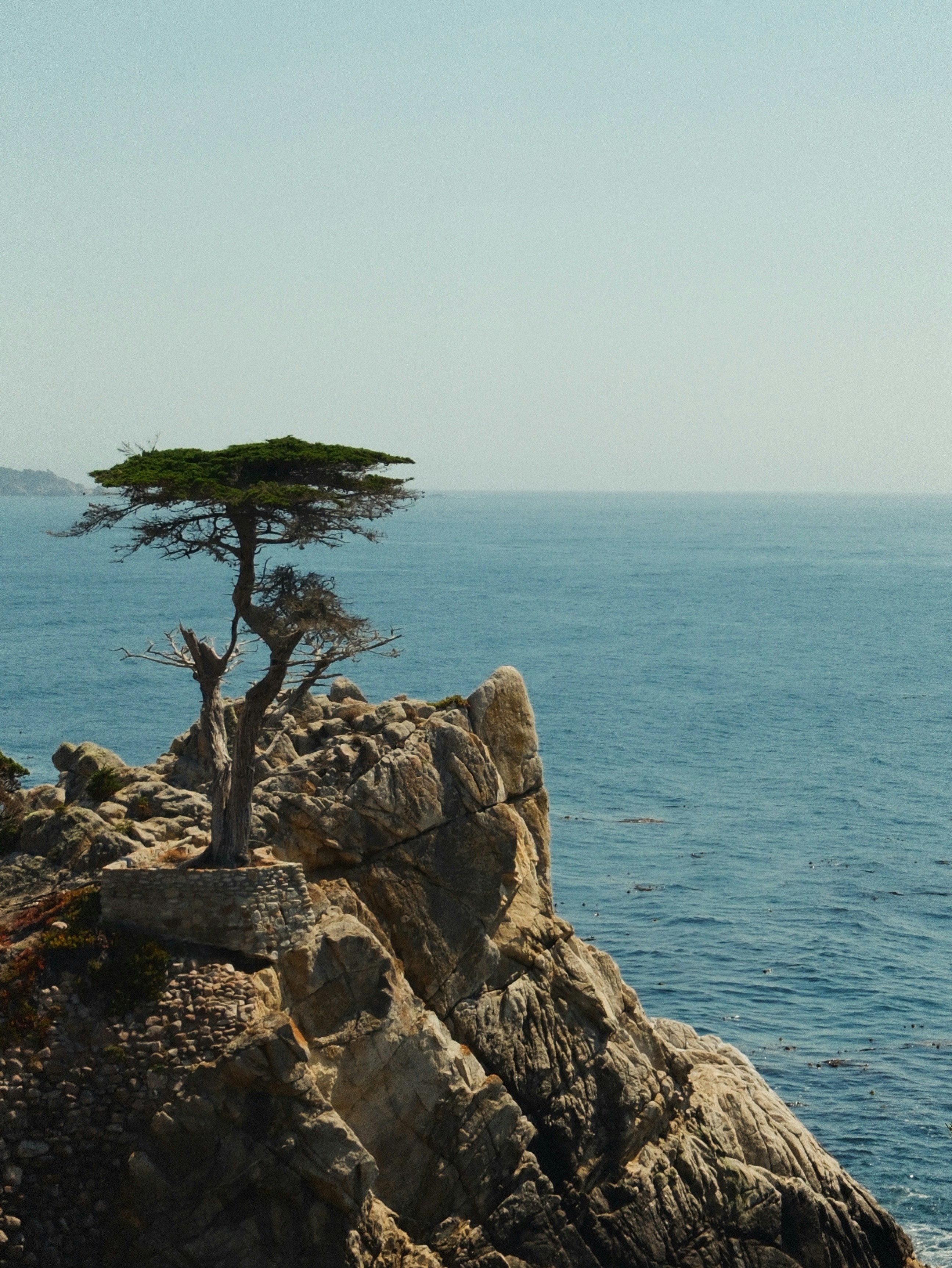 Photo by noisy_filter