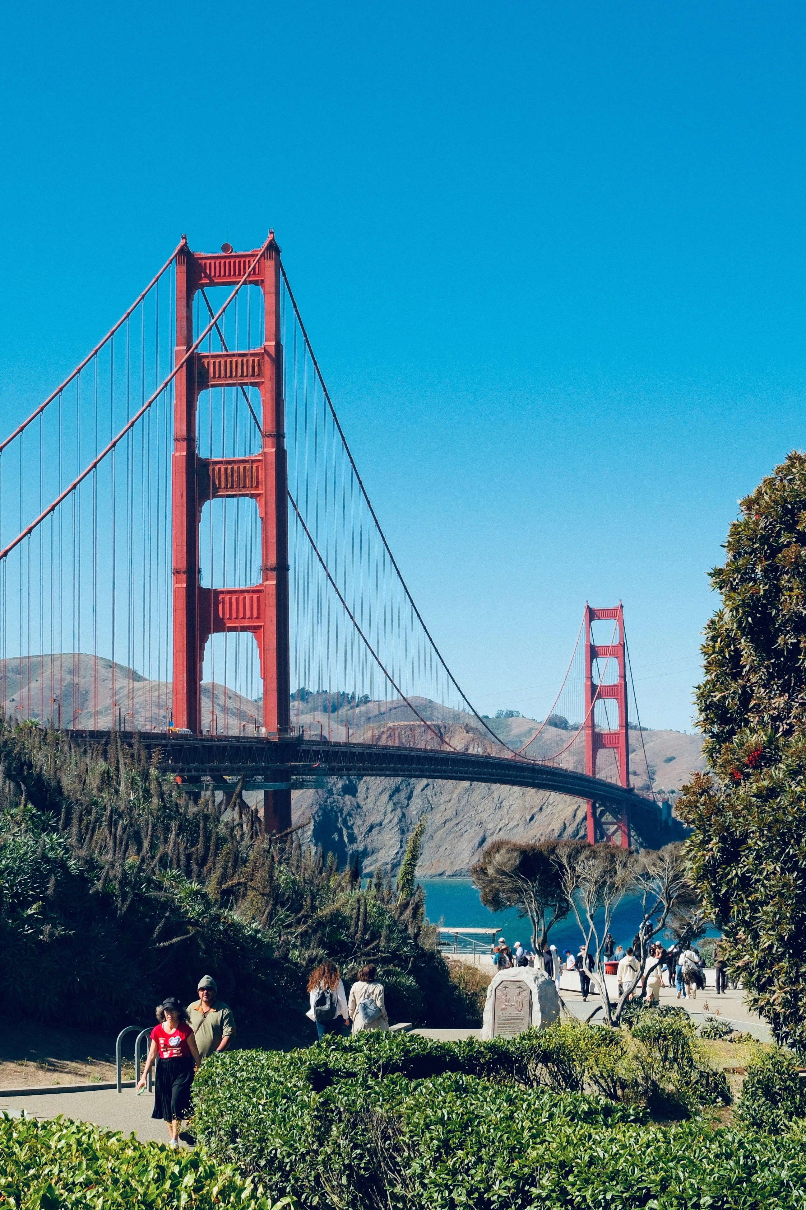 Photo by noisy_filter