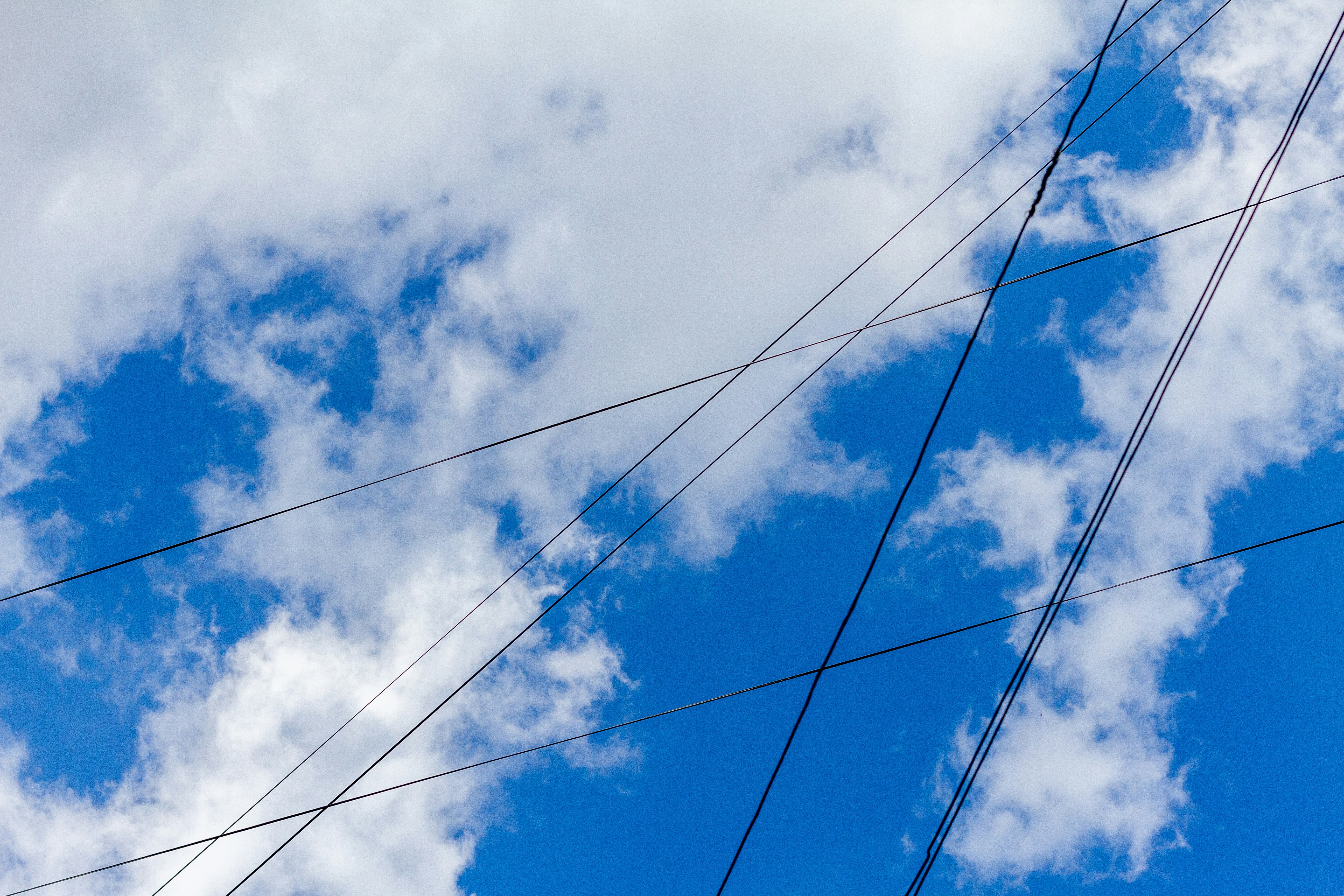 Photo by vkozhevnikov