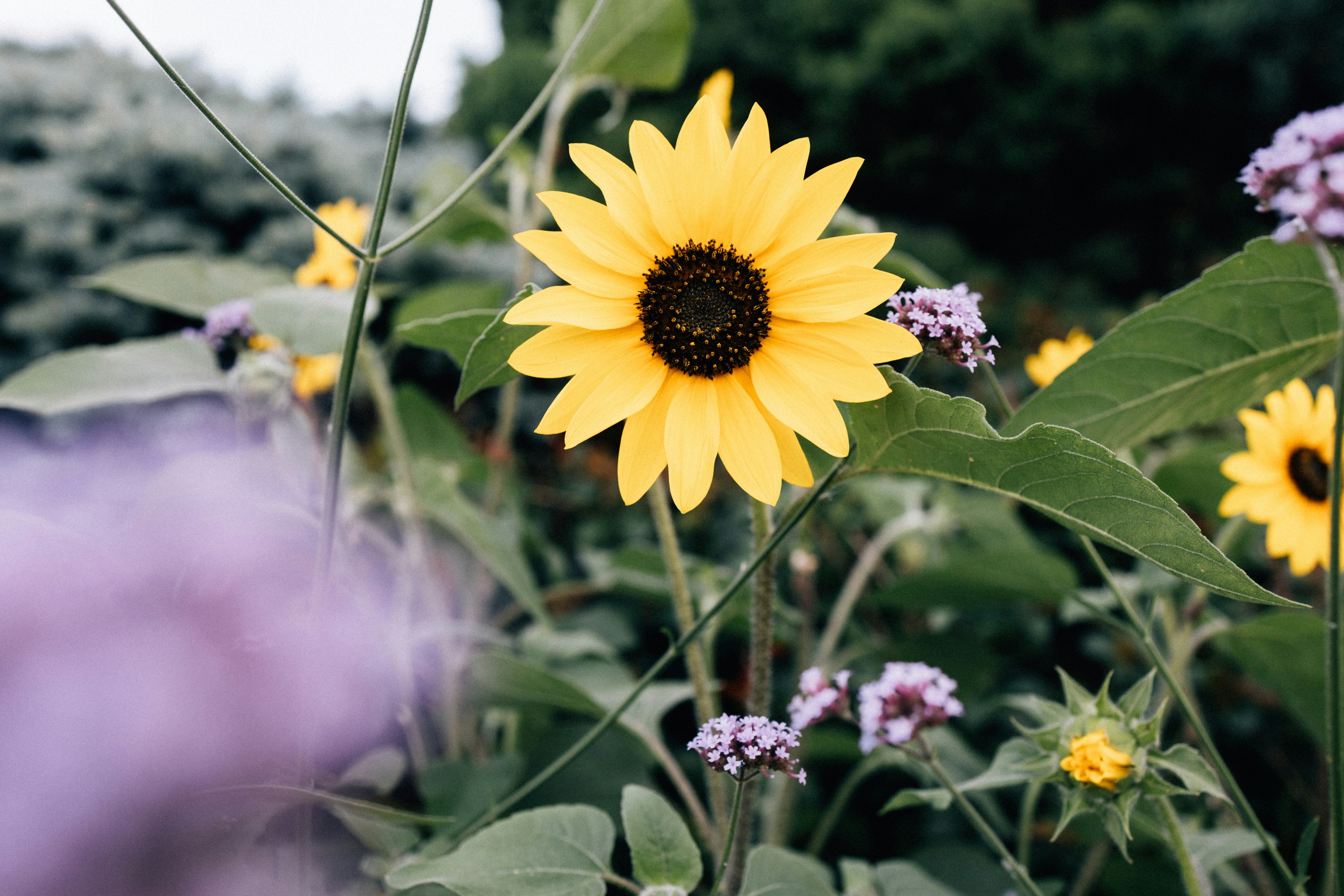 Photo by tsuyoshikozu