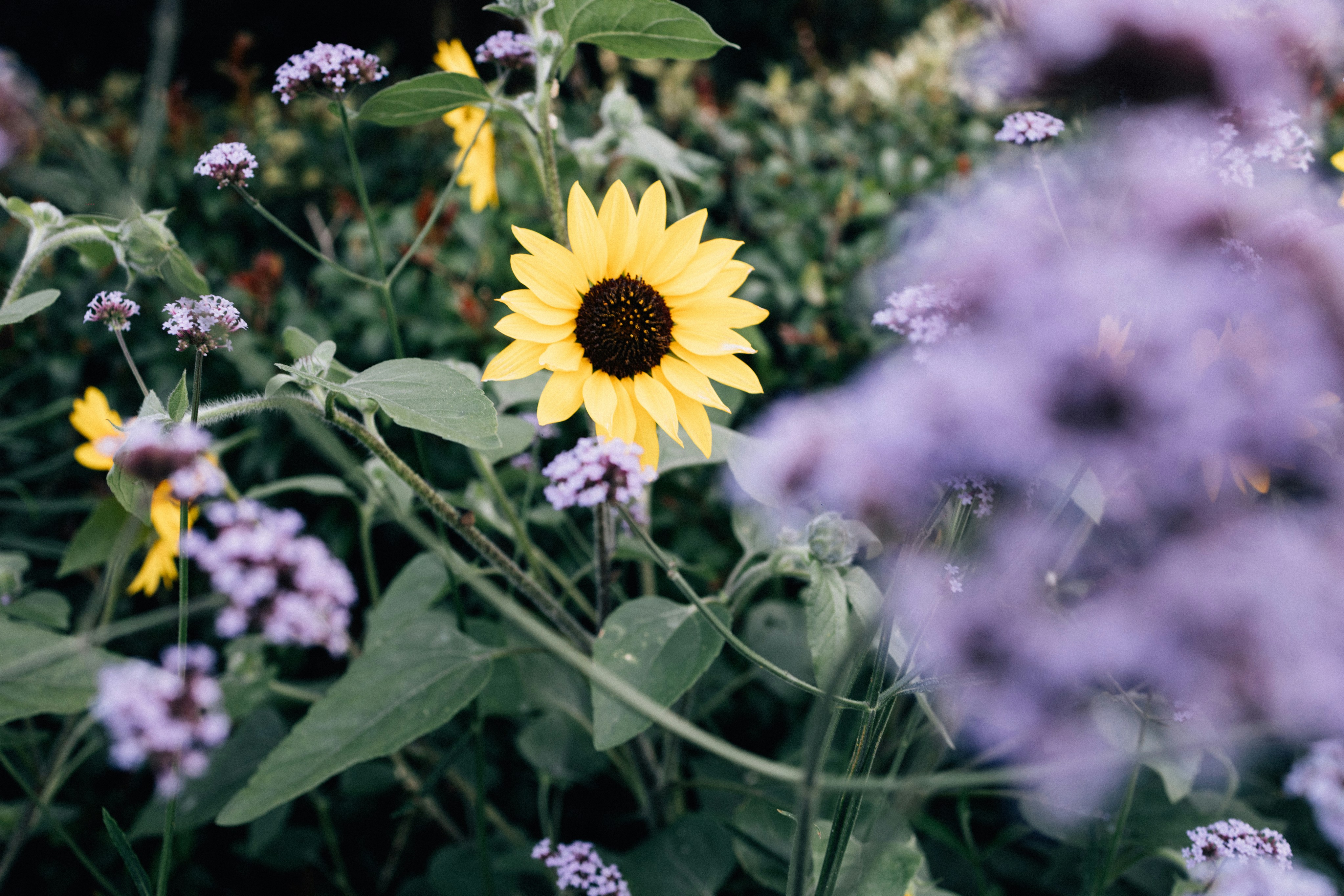 Photo by tsuyoshikozu