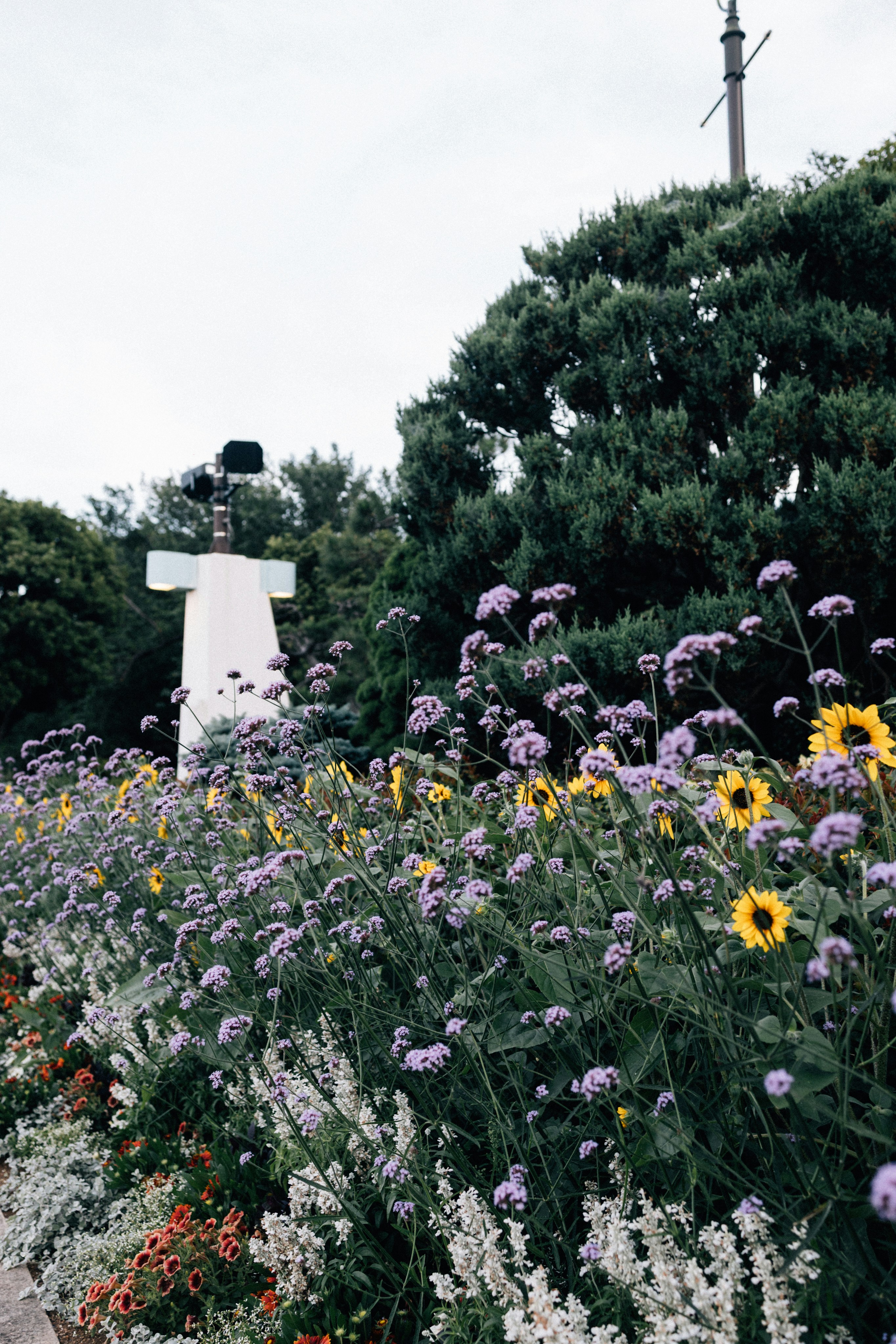 Photo by tsuyoshikozu