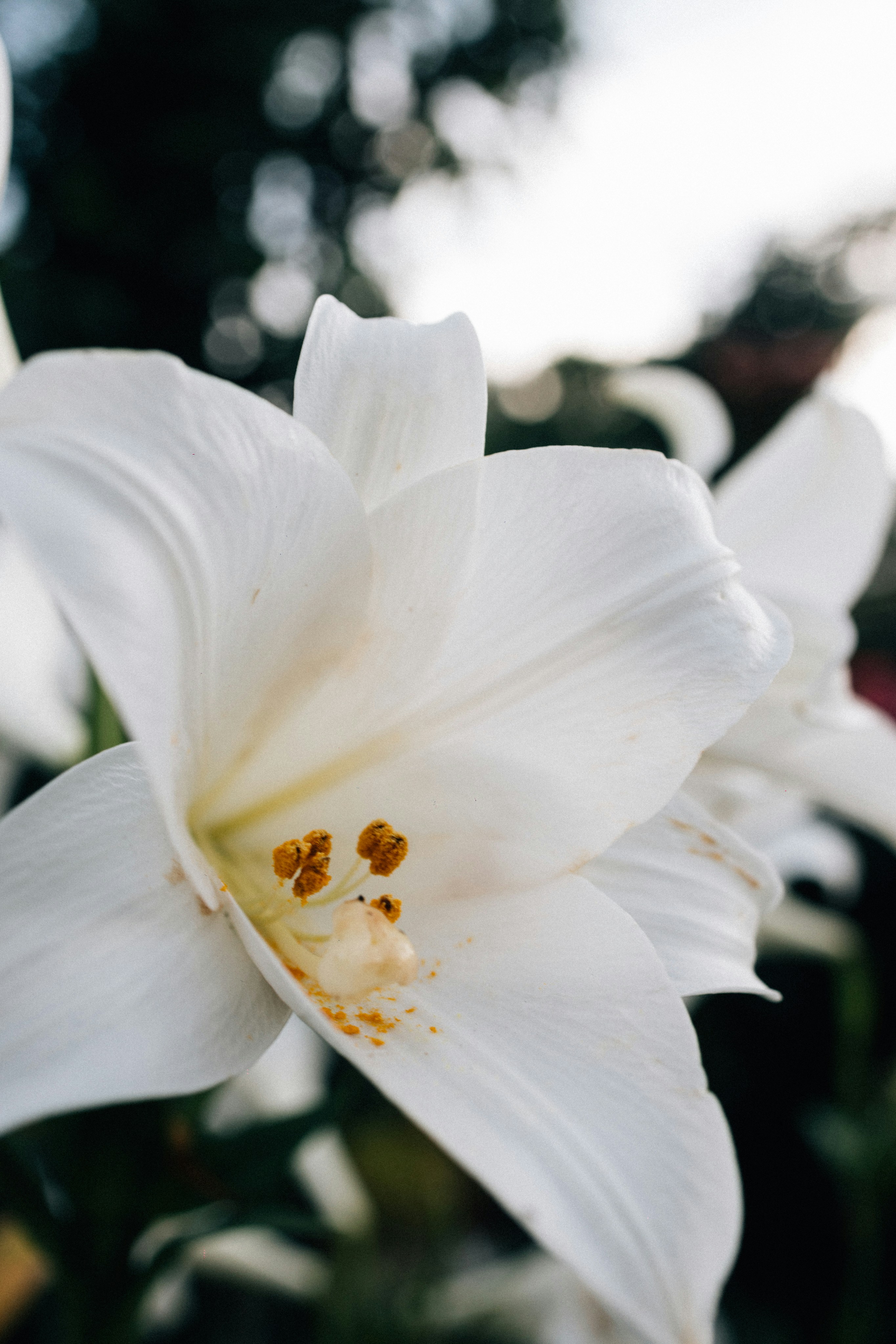 Photo by tsuyoshikozu