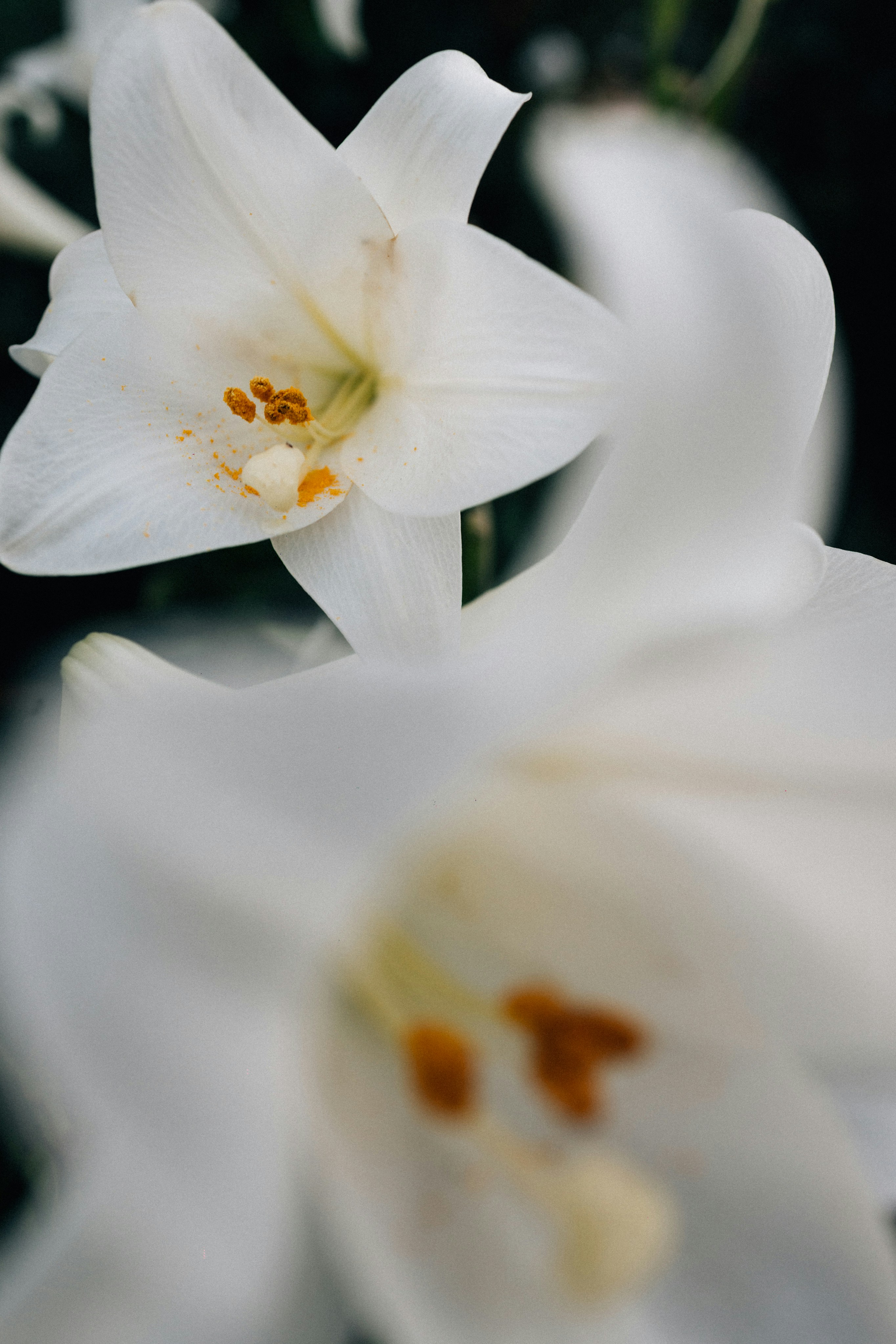 Photo by tsuyoshikozu