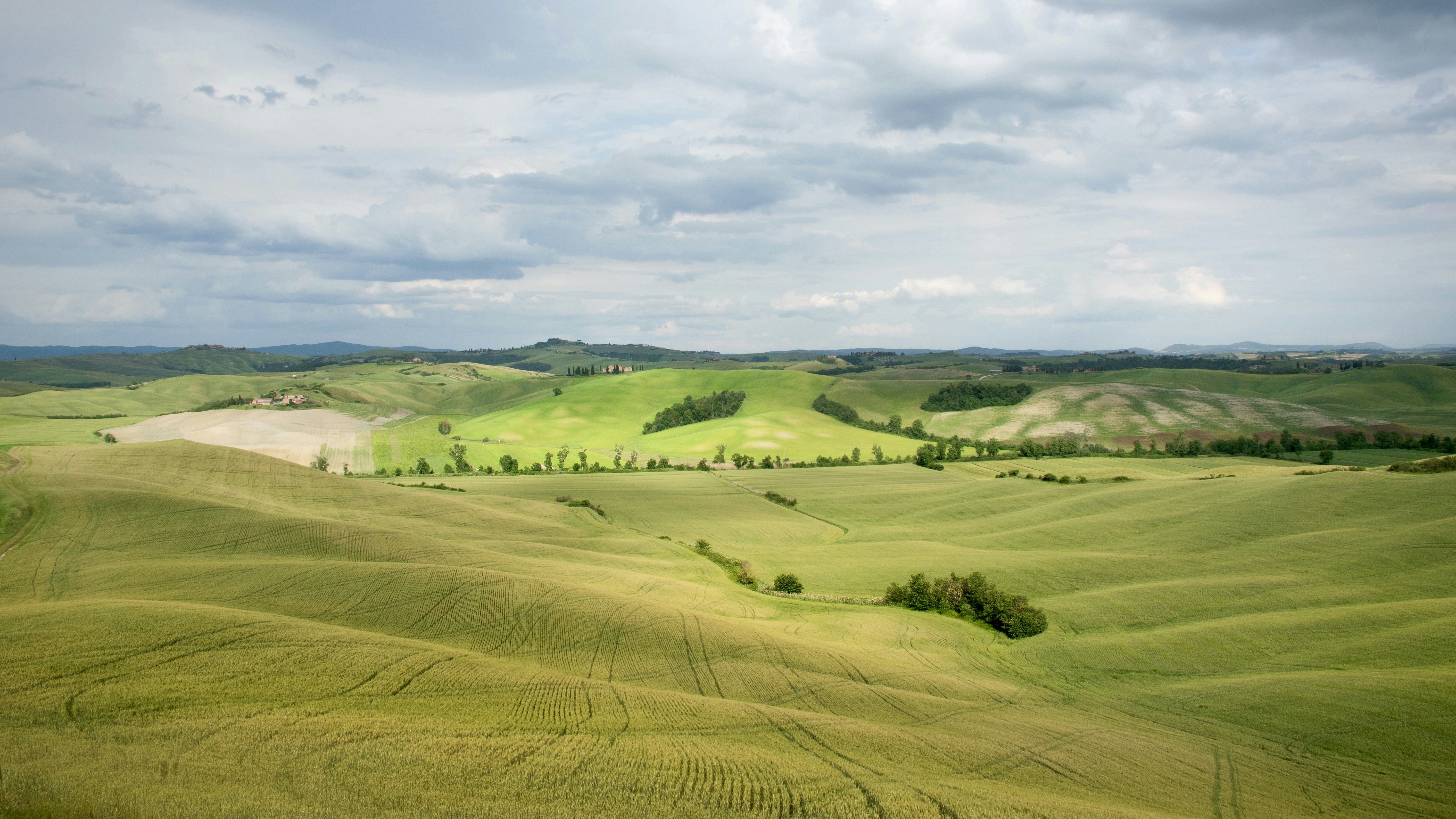 Sanfte grüne Hügel unter einem bewölkten Himmel