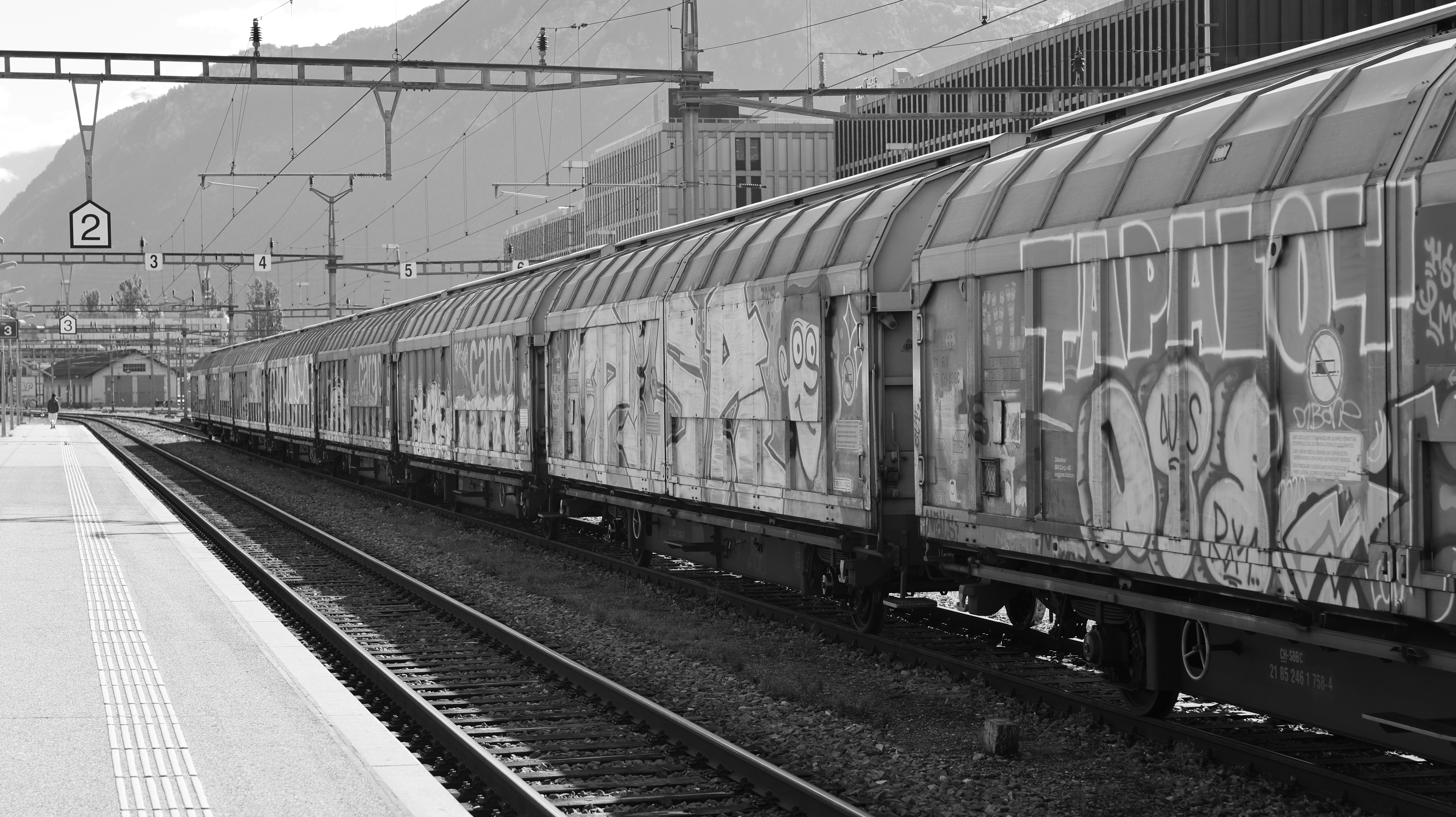 Graffiti-covered train cars at a station