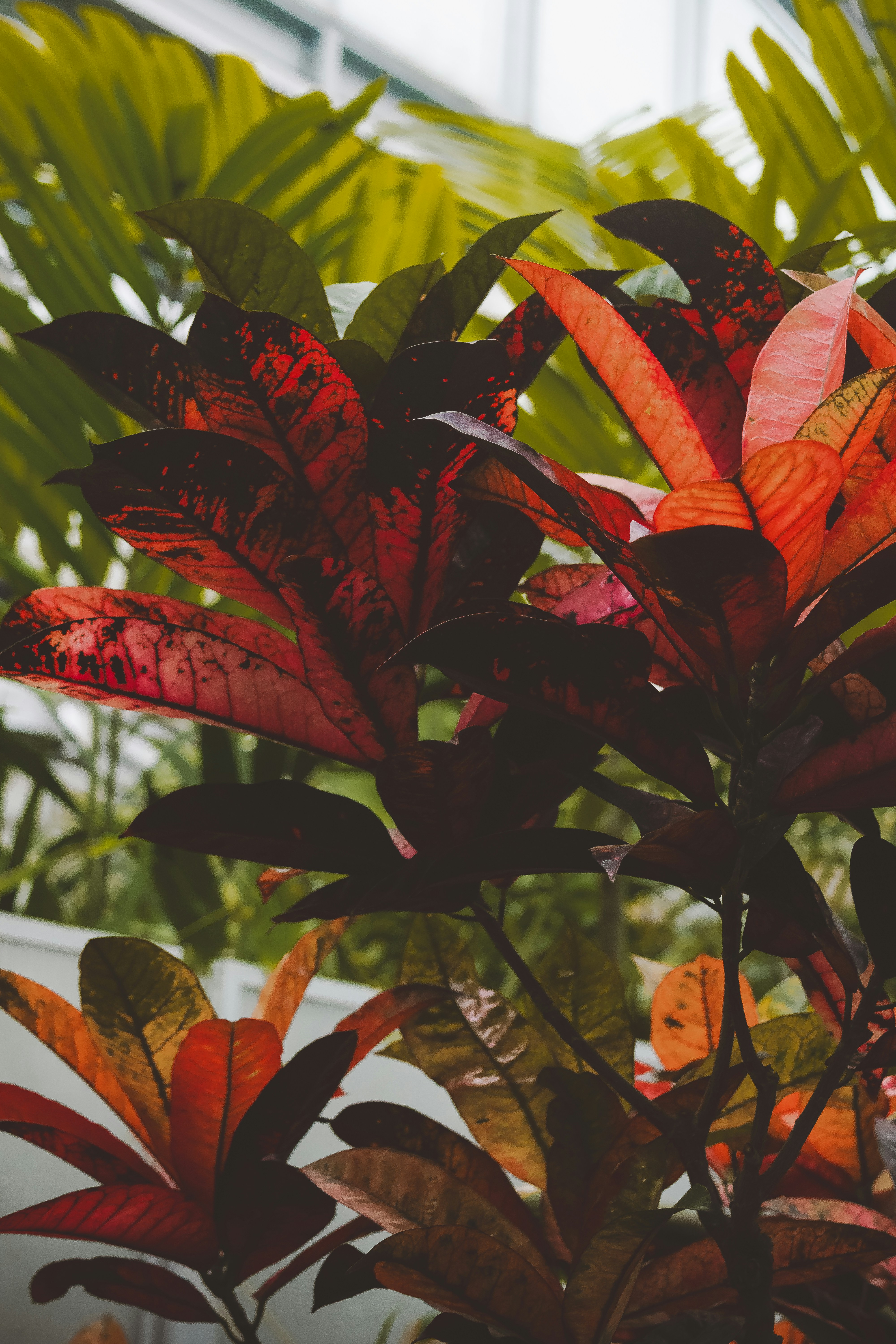 Photo by patrycja_chociej