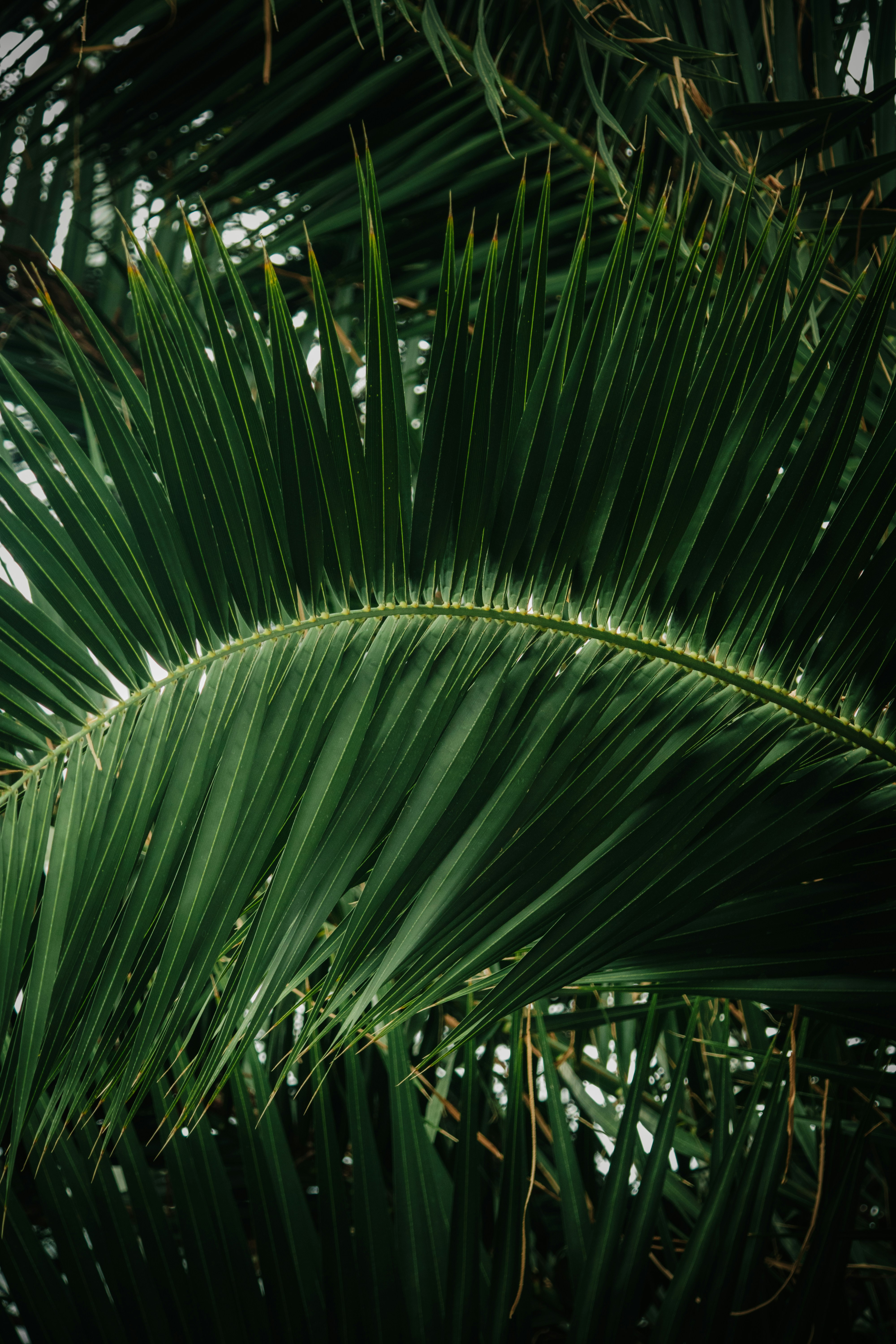 Photo by patrycja_chociej