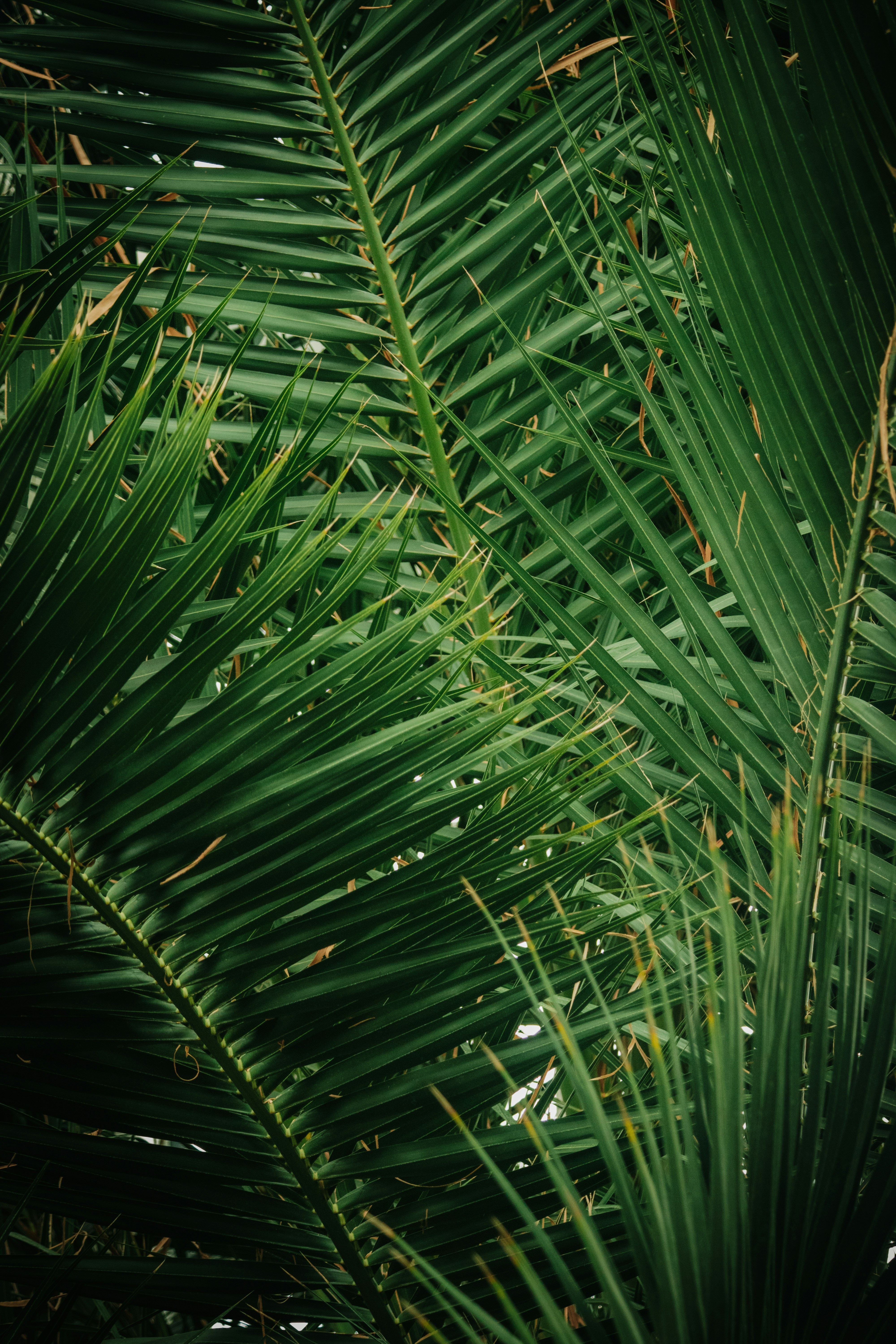 Photo by patrycja_chociej