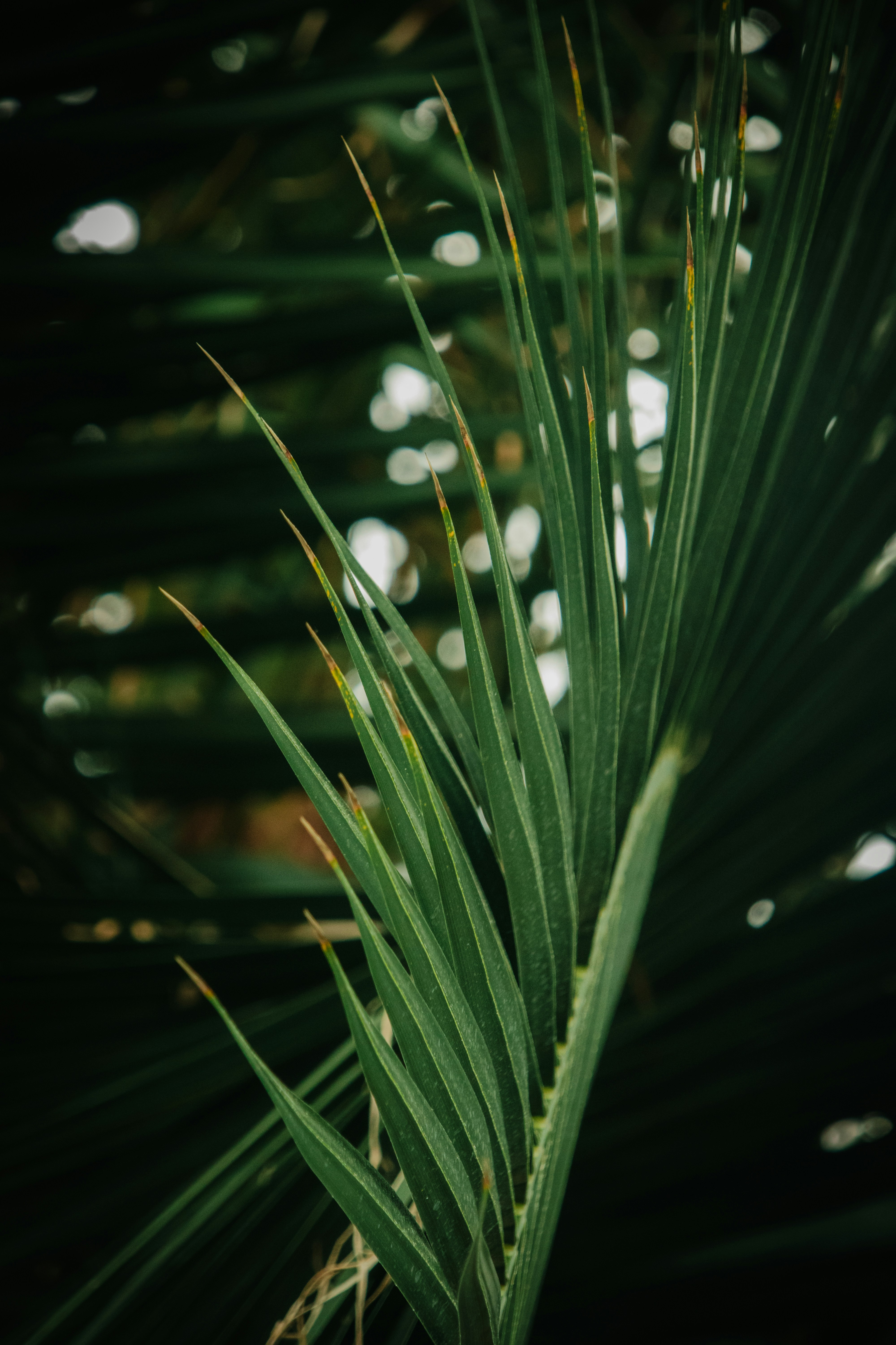 Photo by patrycja_chociej