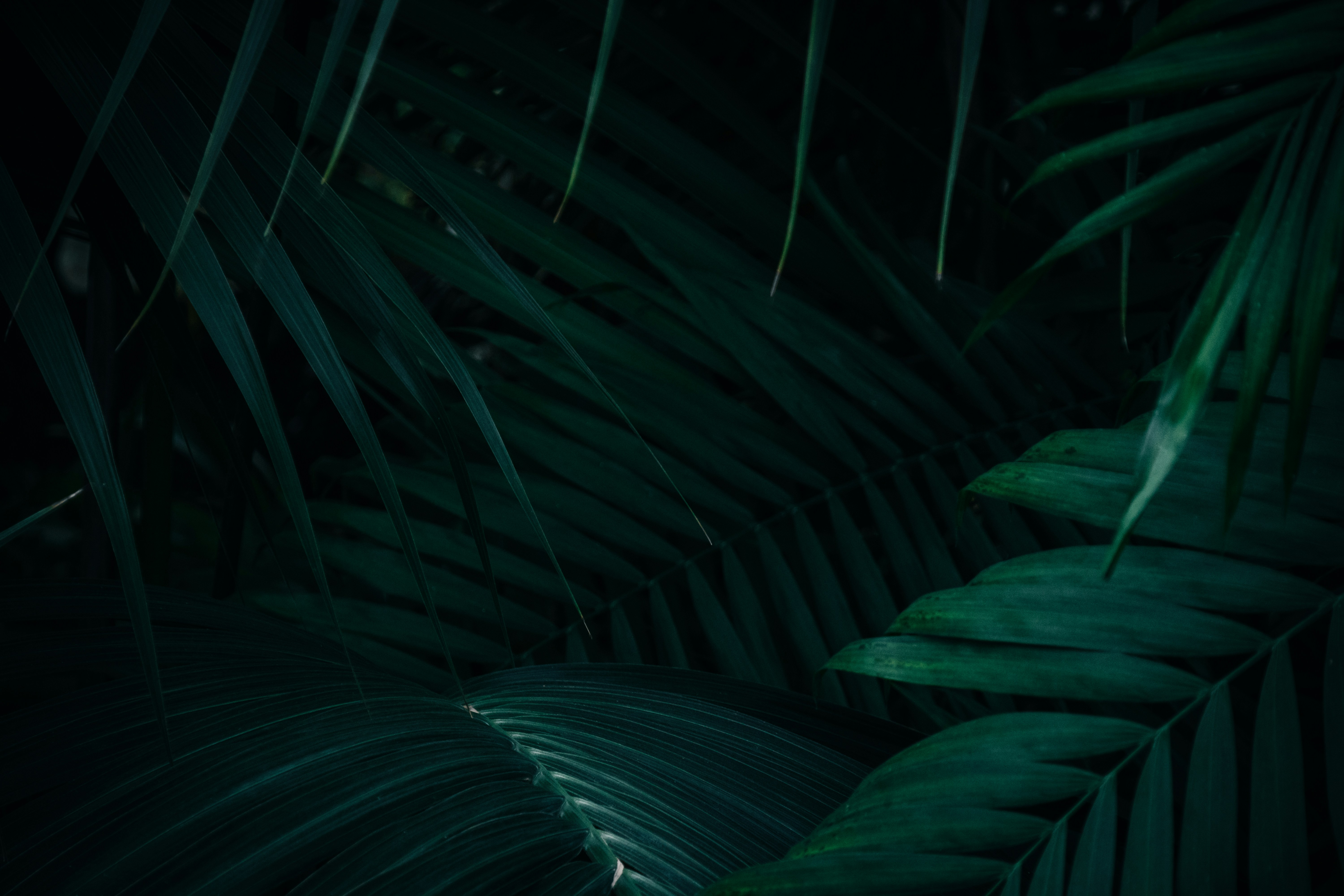 Photo by patrycja_chociej