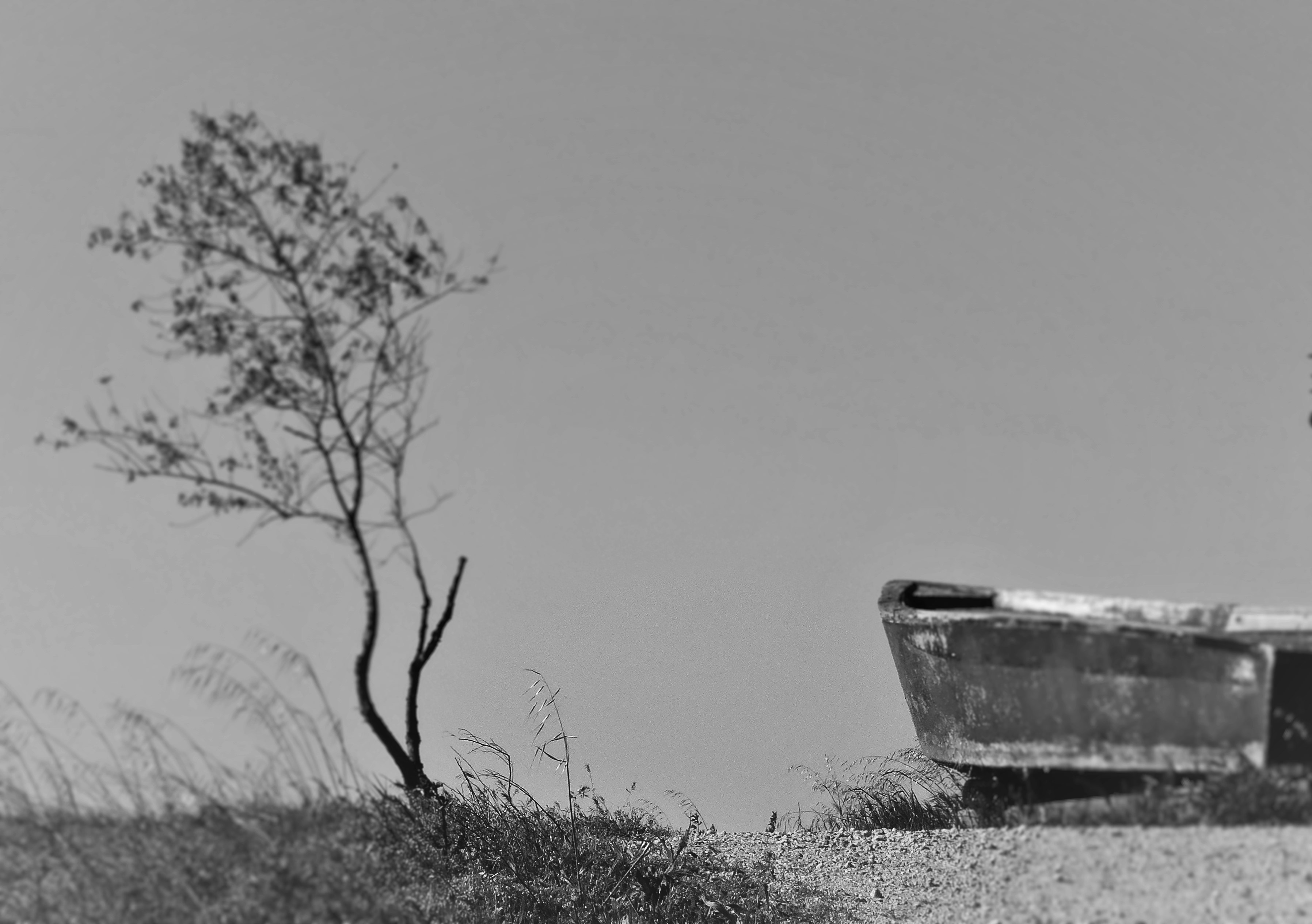 Photo by francepi