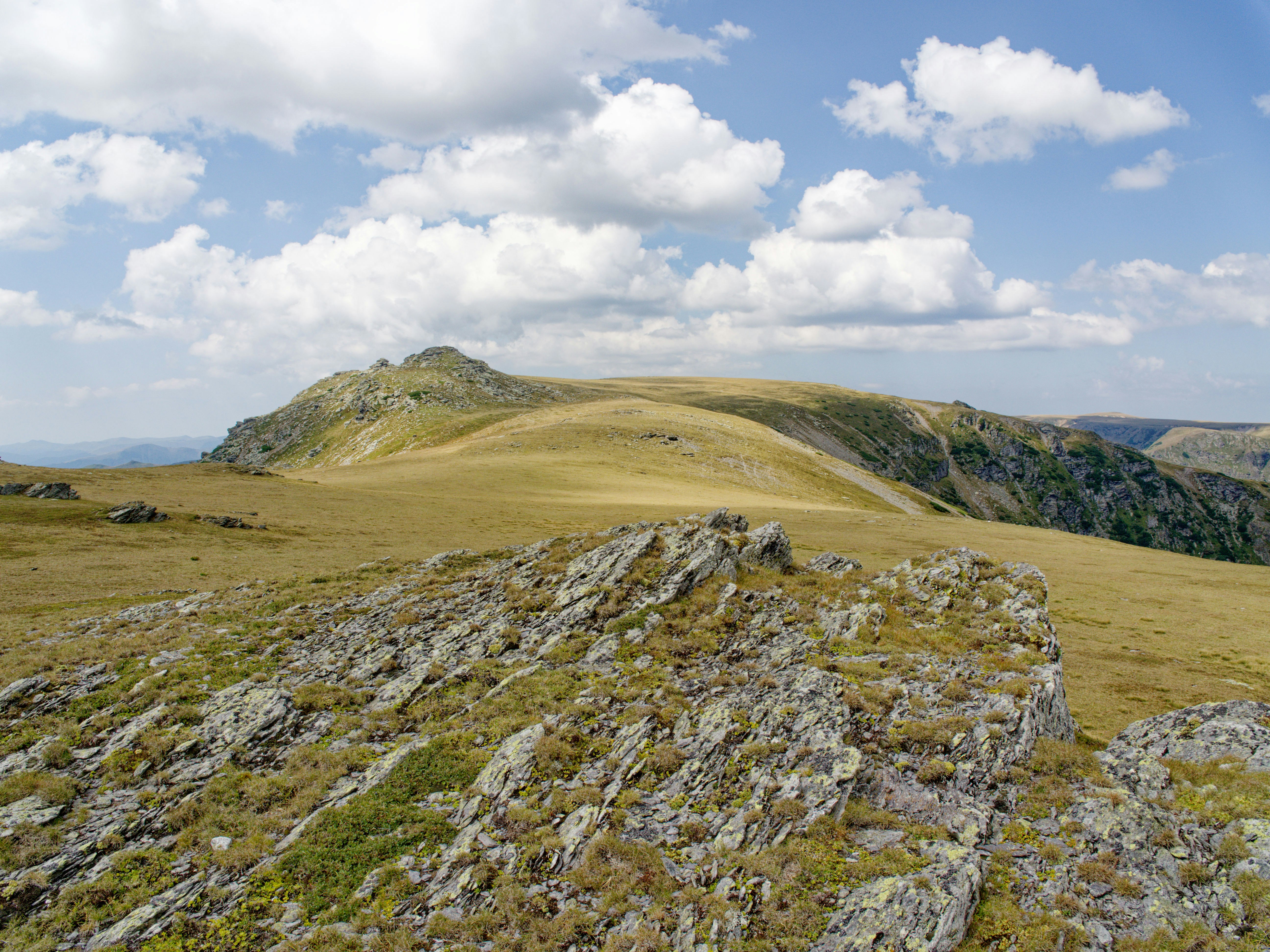 Photo by illes_cristi