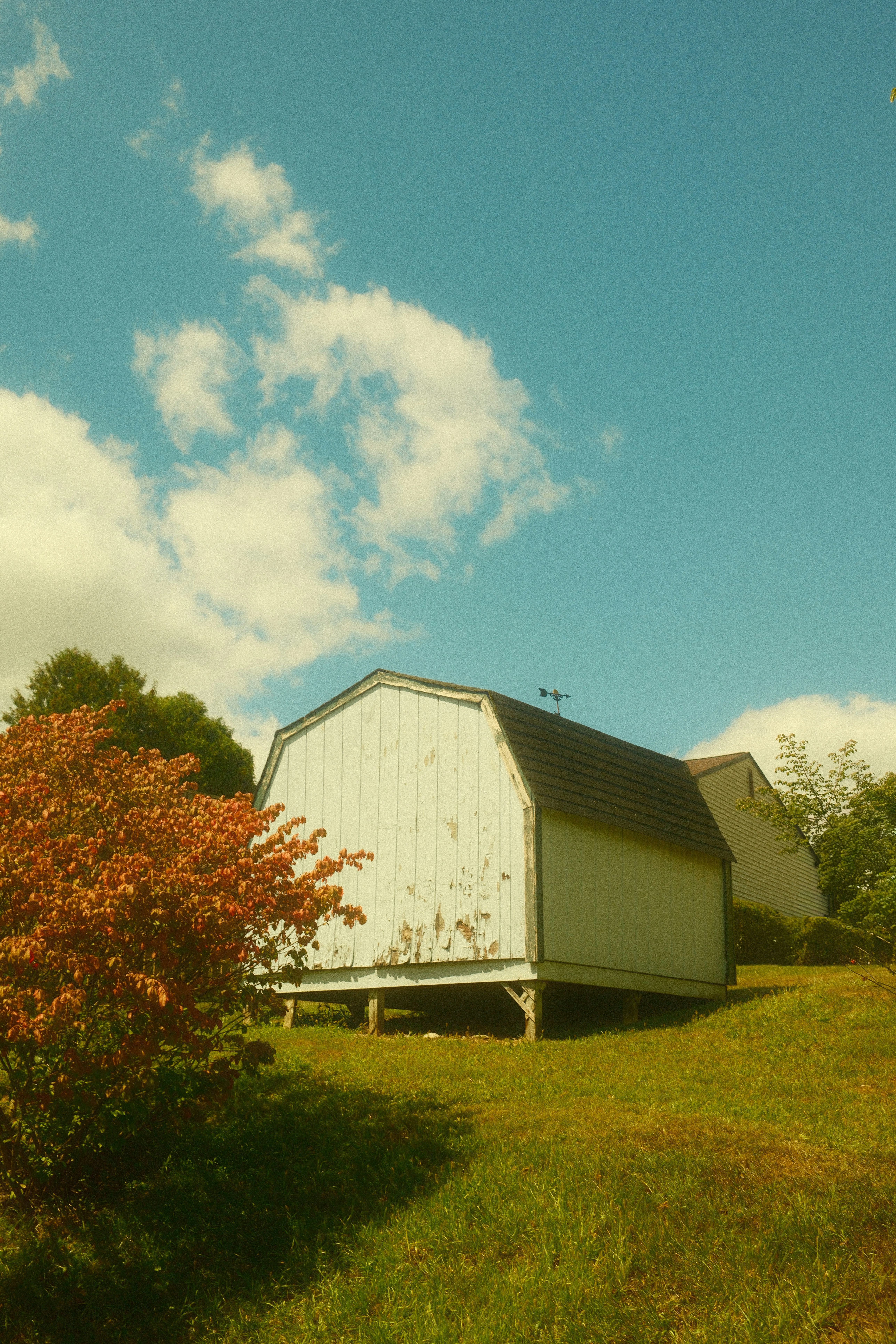 Photo by meganmajocha