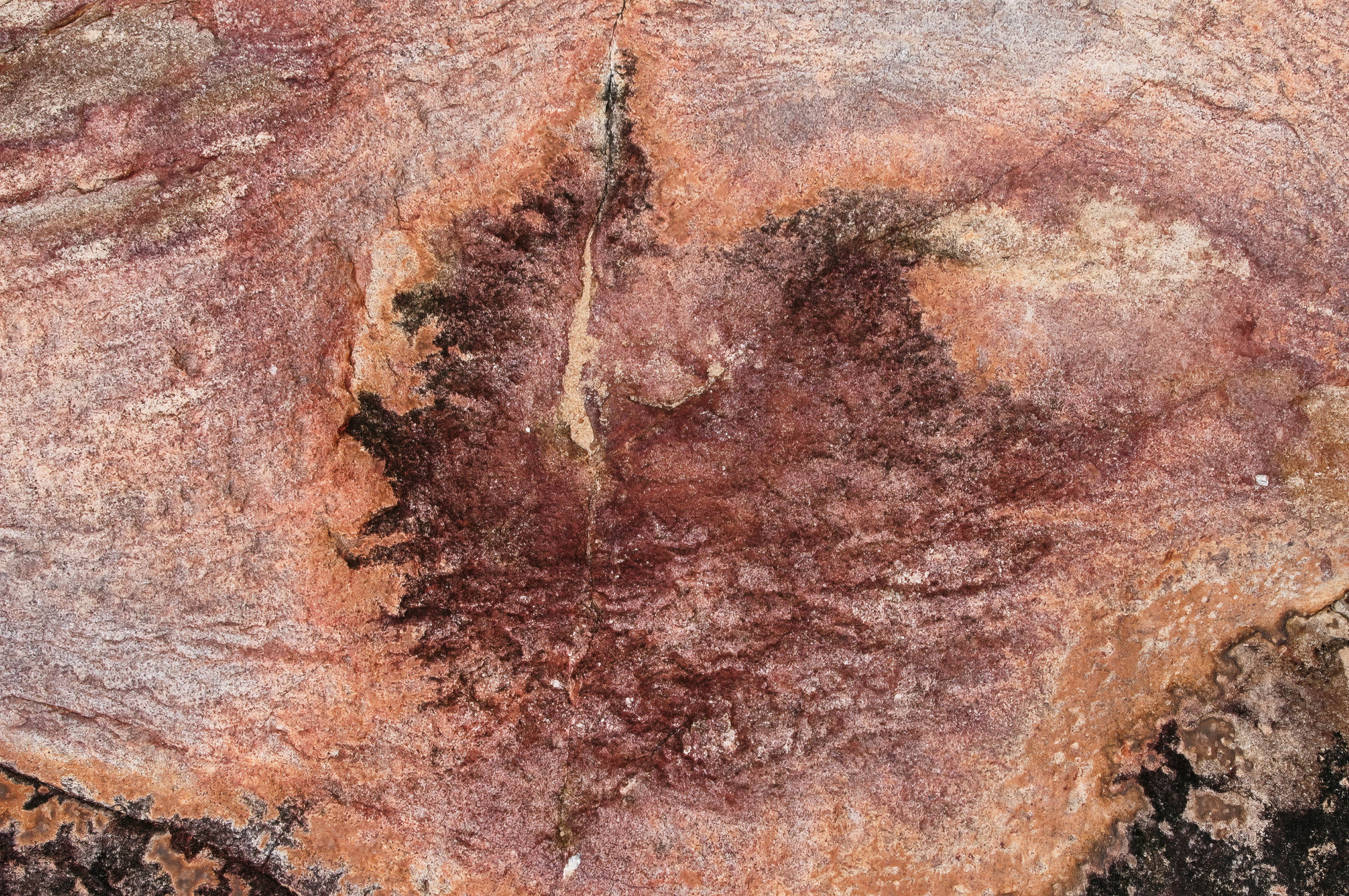Close-up of rough textured rock with red and brown patterns