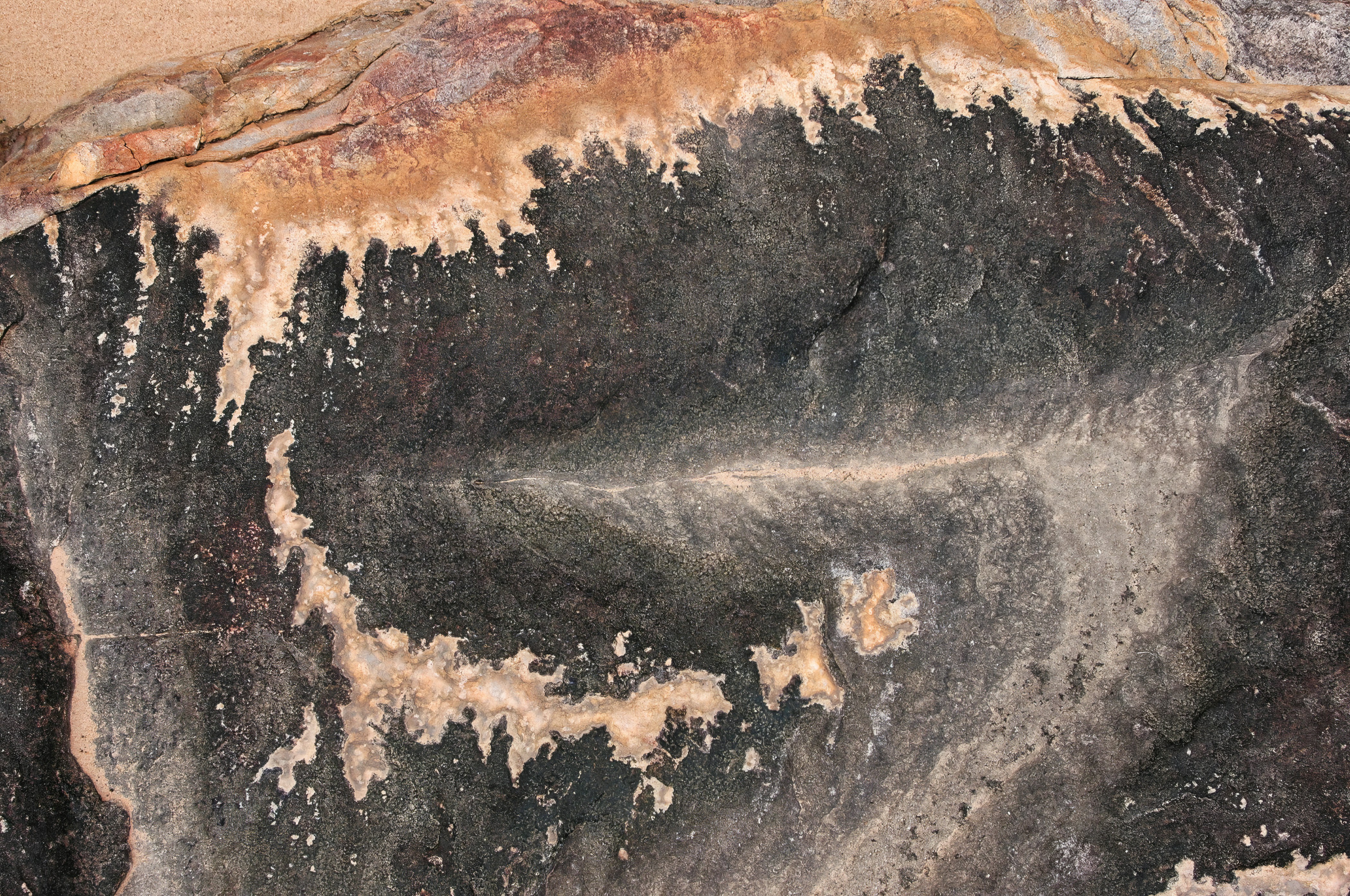 Photo by raimundschlager