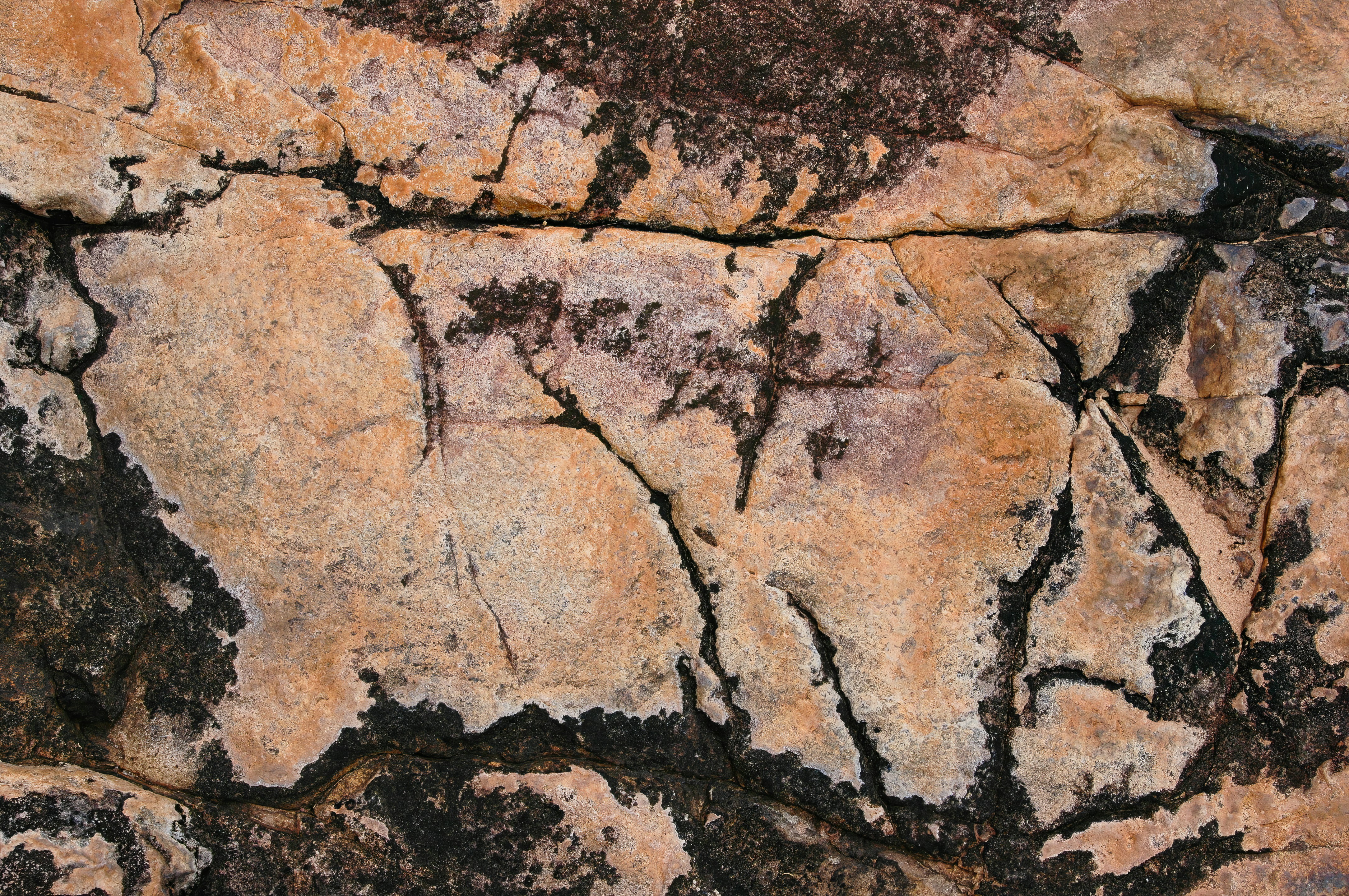 Photo by raimundschlager