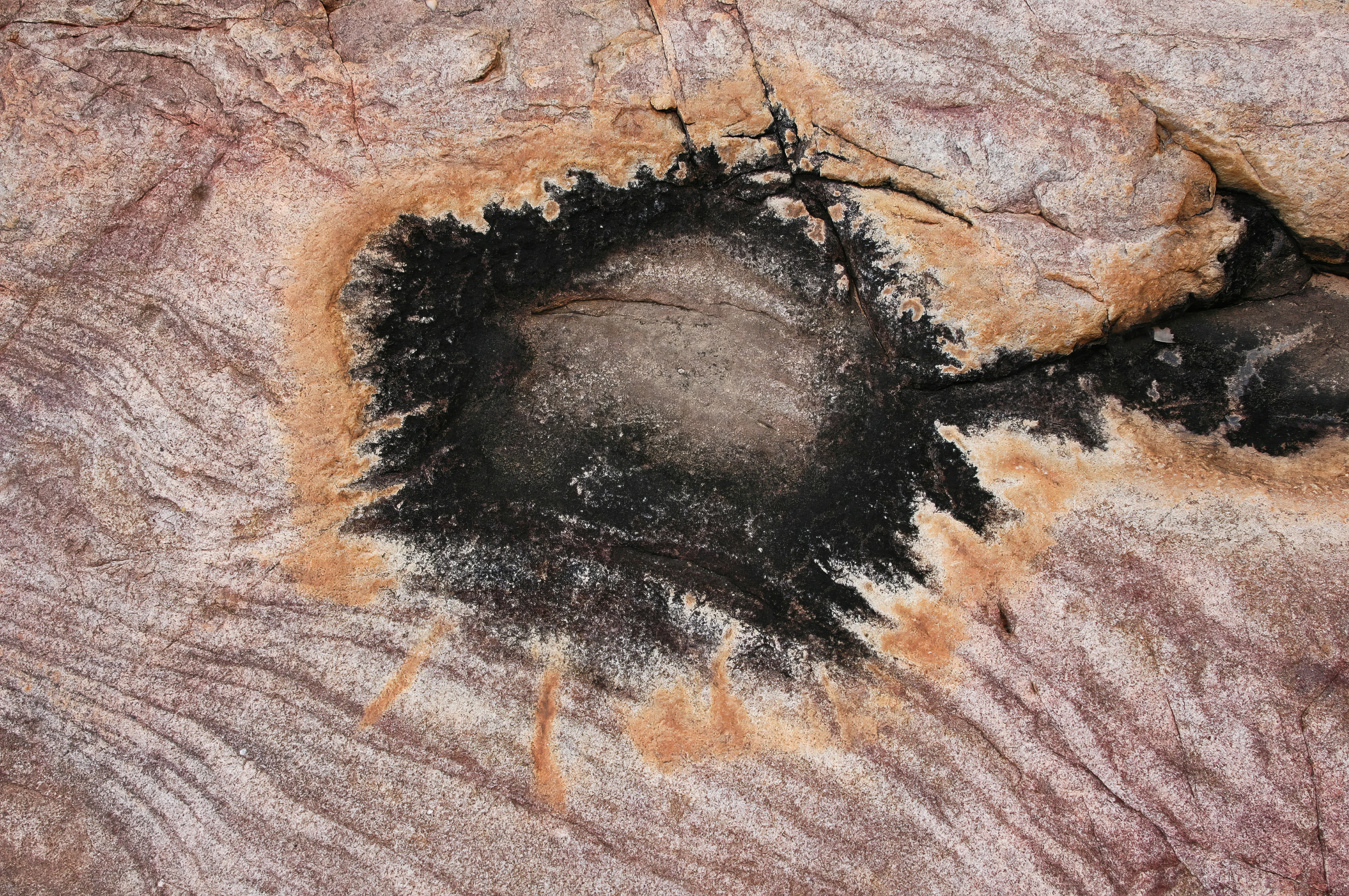 Photo by raimundschlager