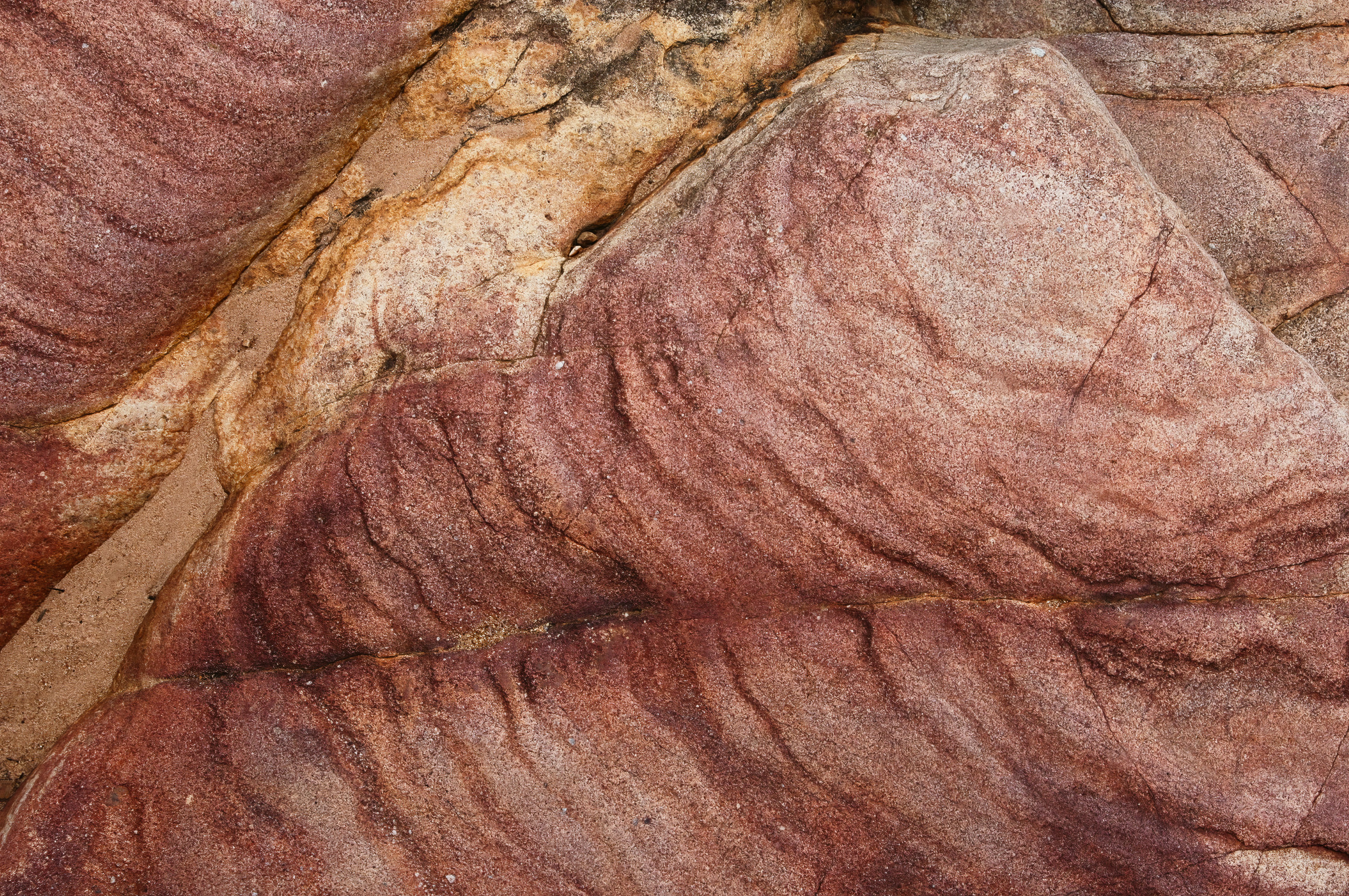 beef texture wallpaper, wallpaper, 7 Manfaat Kikil Sapi yang Jarang Diketahui 5