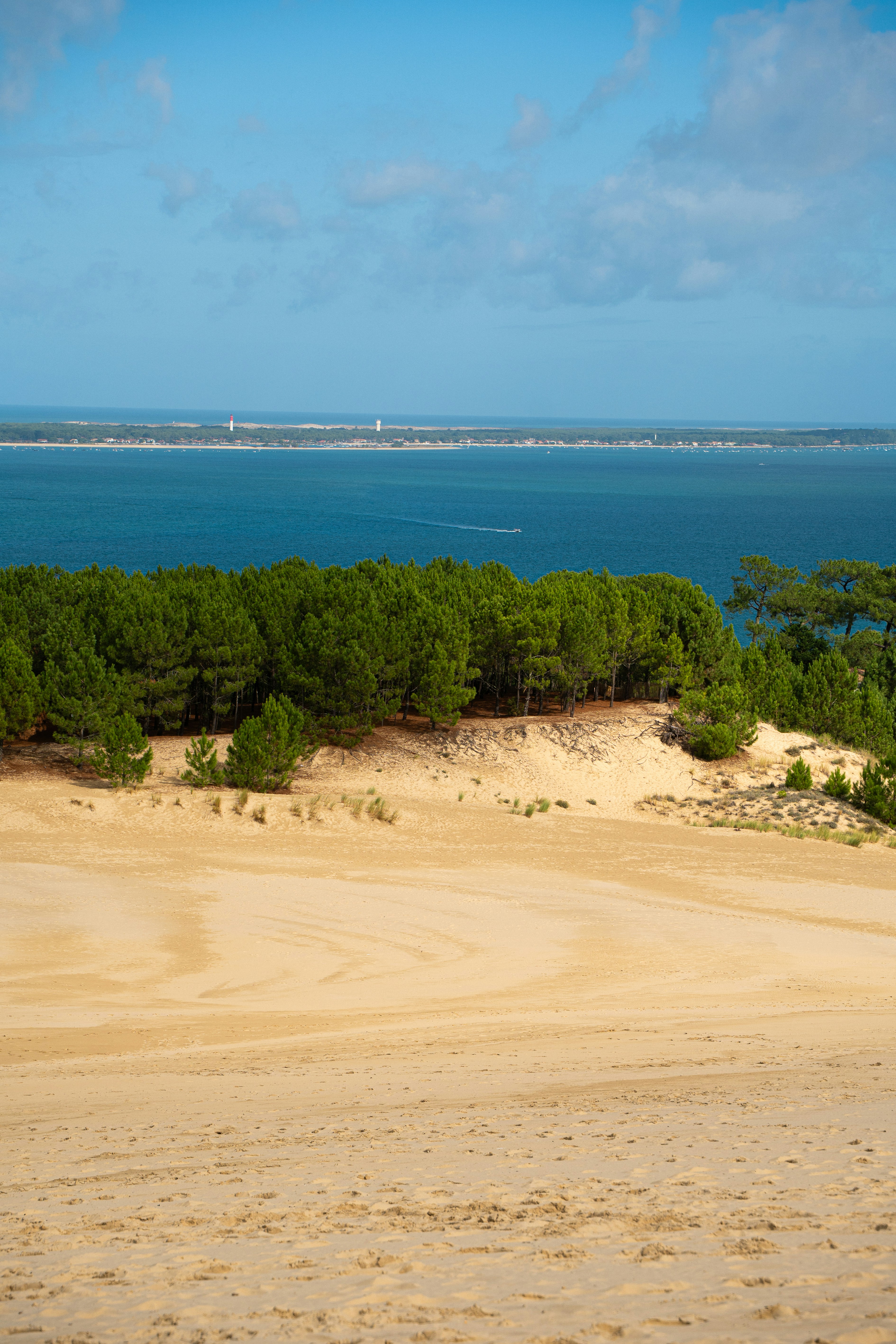 Las dunas de arena conducen a un bosque de pinos y al océano.