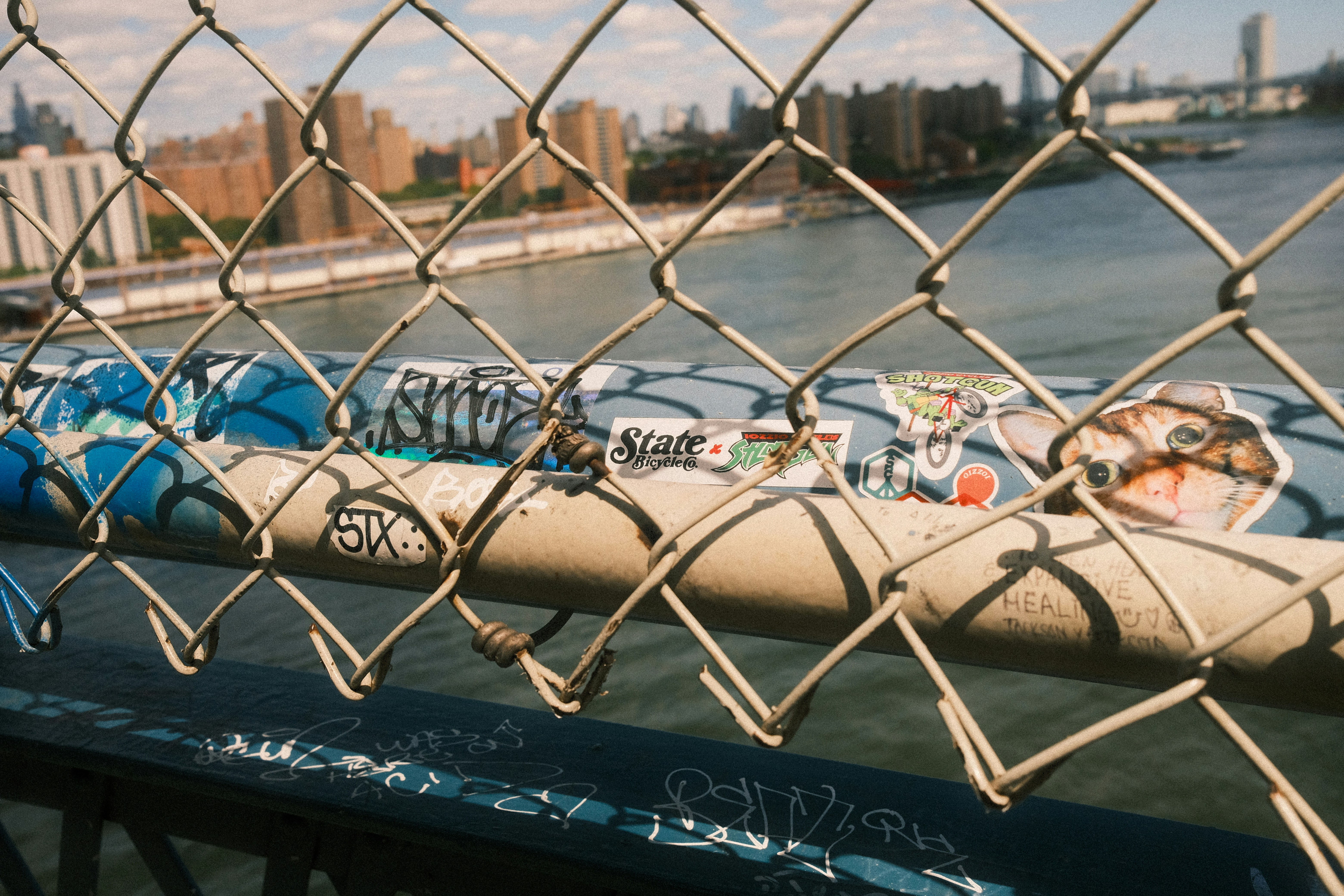 Taking Care Of Chronic Health Problem Normally: Just How Integrative Health Supports Long-Term Recovery