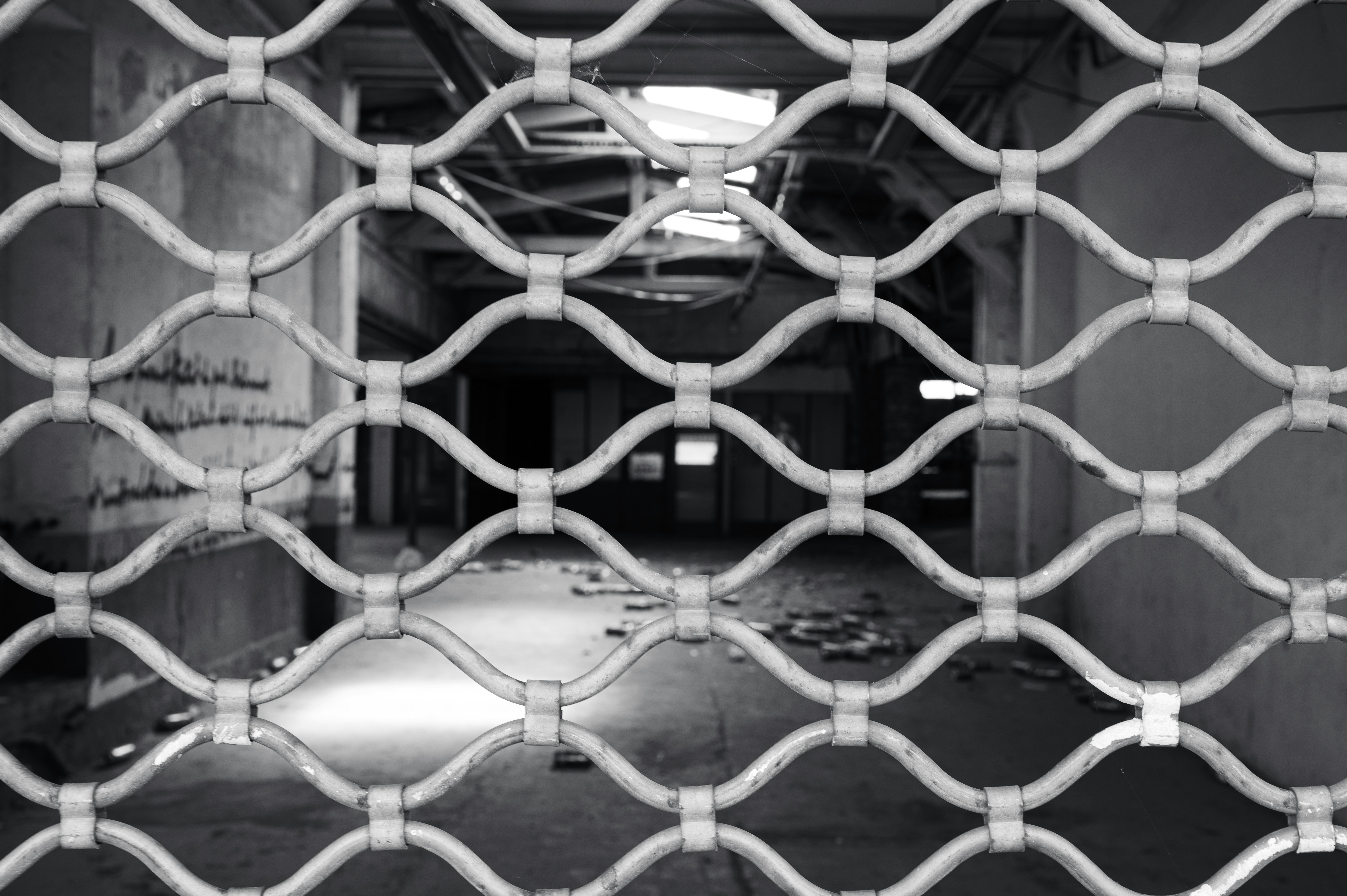 Photo by bigbigwater